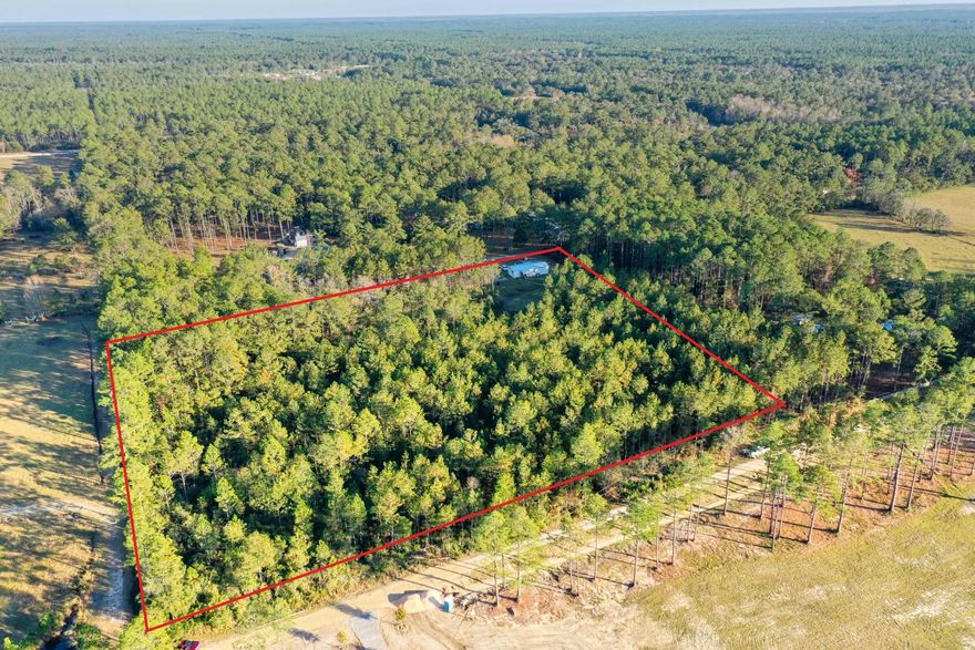 Picture your gorgeous home on this lovely partially fenced wooded property located off Hwy 20 between Freeport and Bruce showcasing a mixture of many large pine and hardwoods.  Additionally, there are (2) wells and power poles,  (1) septic tank and small carport on this tract of land. This property is located less than 25 minutes from the beaches of Florida Emerald Gulf Coast.  It's centrally located between Panama City Beach and Fort Walton Beach FL making for easy commutes to and from work. Location is key!Attention Investors!! Don't miss the development opportunity with this parcel.  With road access on (2) sides of this property, it makes it very easy to break up into multiple lots for potential development a short distance off hwy 20. A full scale Development order and a zoning