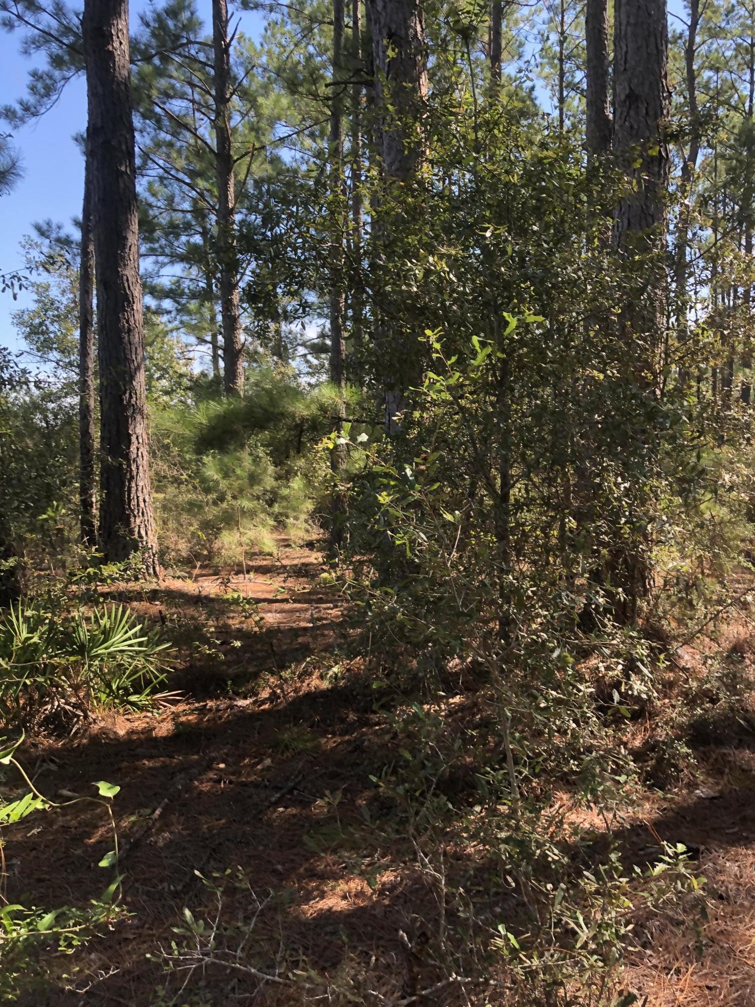 INDIAN CREEK RANCHETTES UNREC - Land