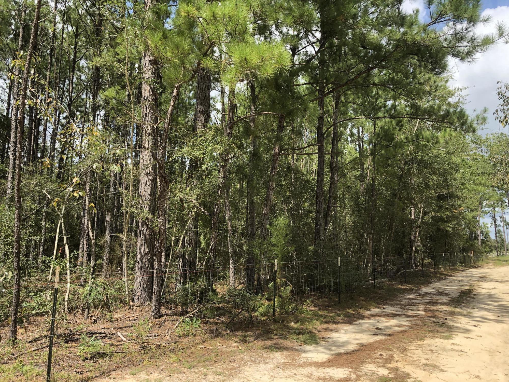 INDIAN CREEK RANCHETTES UNREC - Land