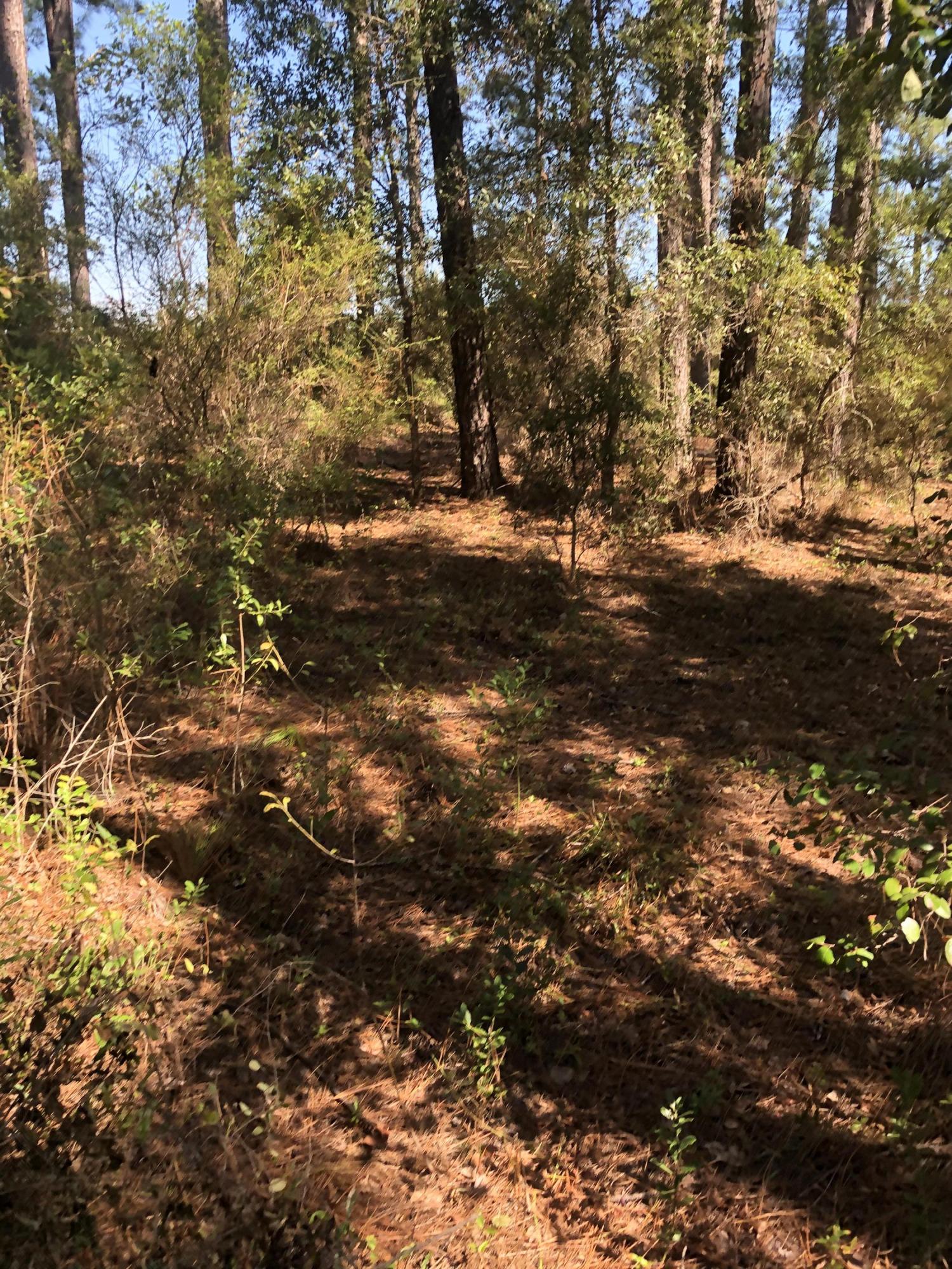 INDIAN CREEK RANCHETTES UNREC - Land