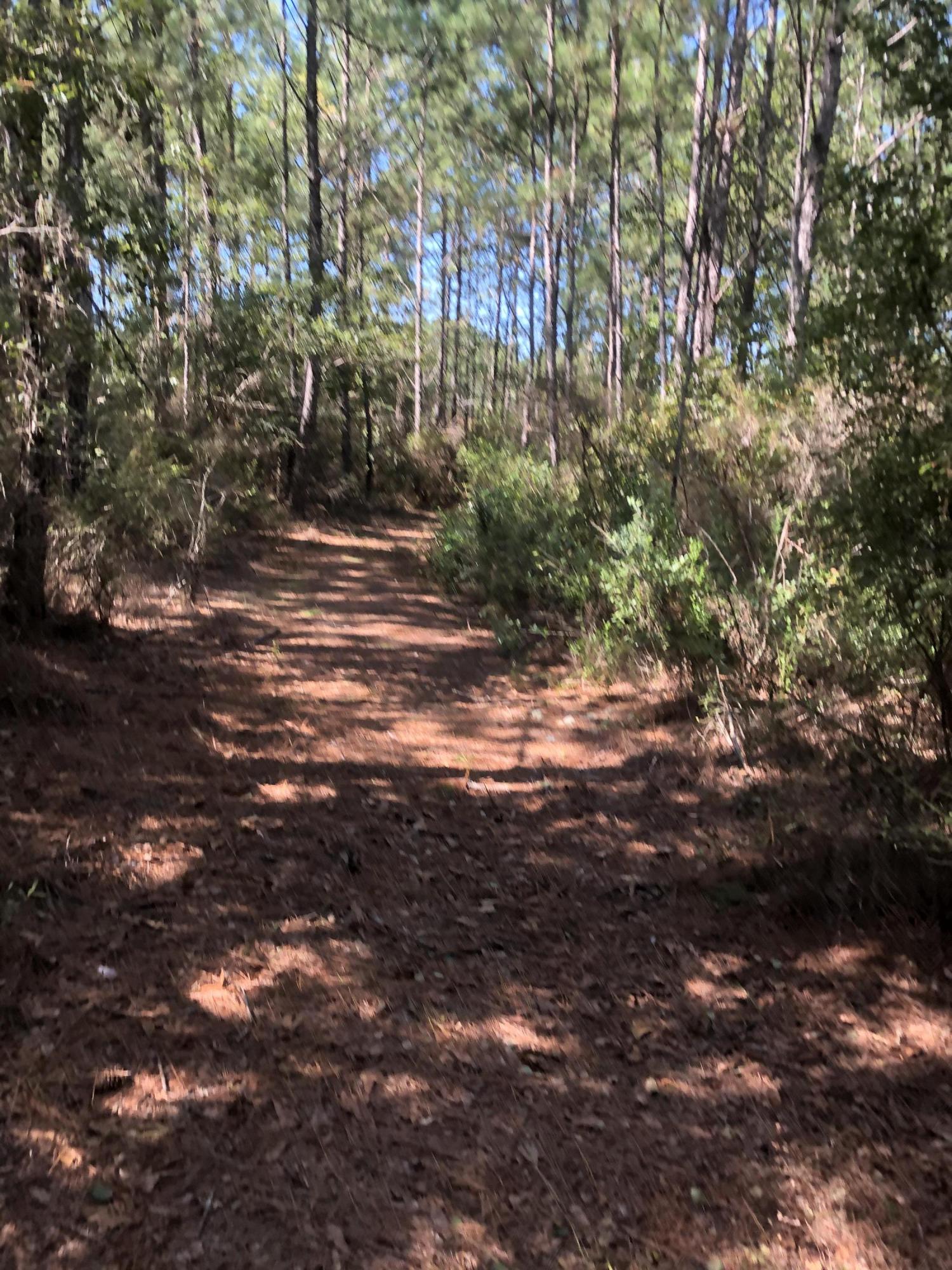 INDIAN CREEK RANCHETTES UNREC - Land