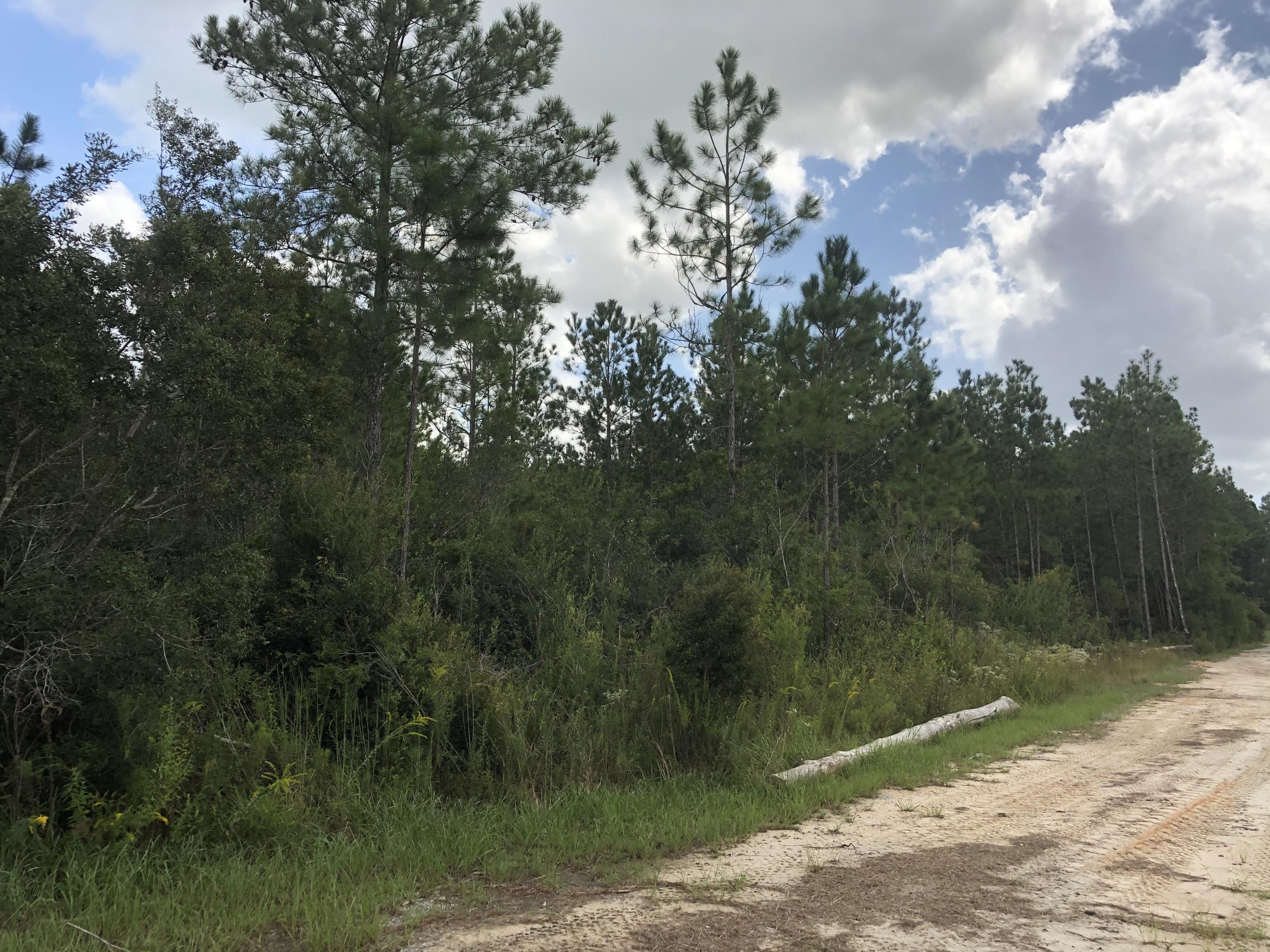 INDIAN CREEK RANCHETTES UNREC - Land