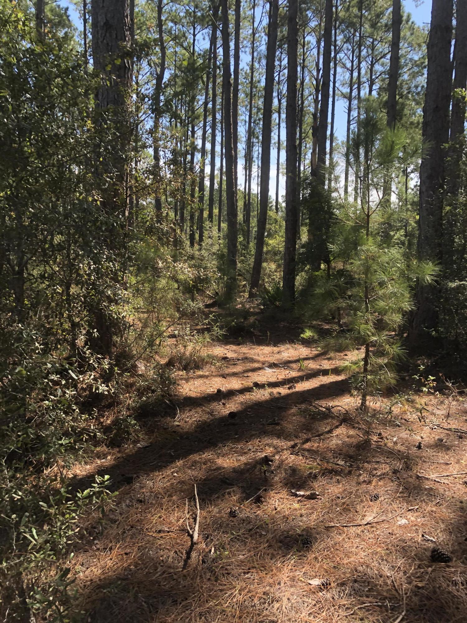 INDIAN CREEK RANCHETTES UNREC - Land