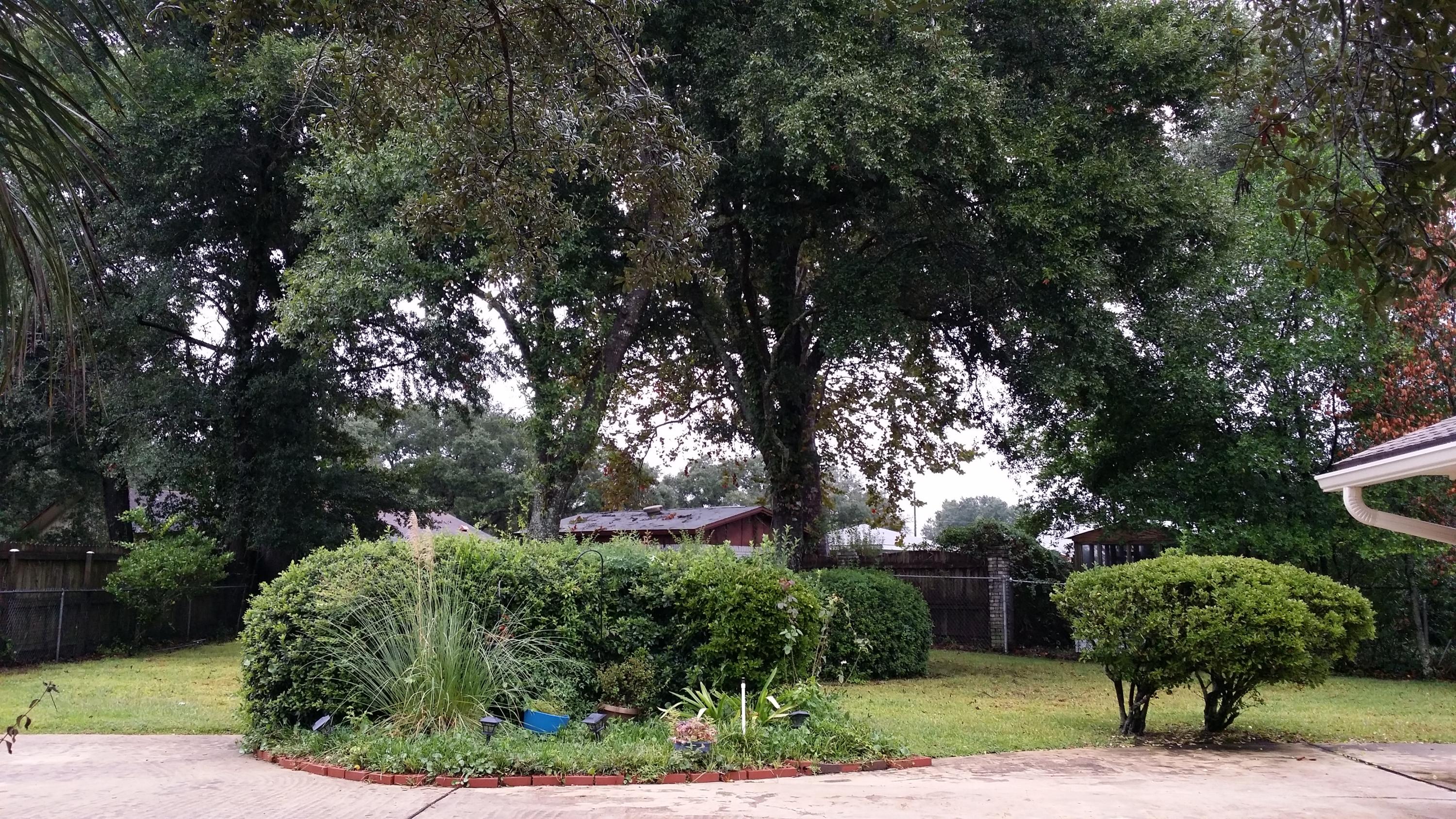 BAYOU WOODS - Residential