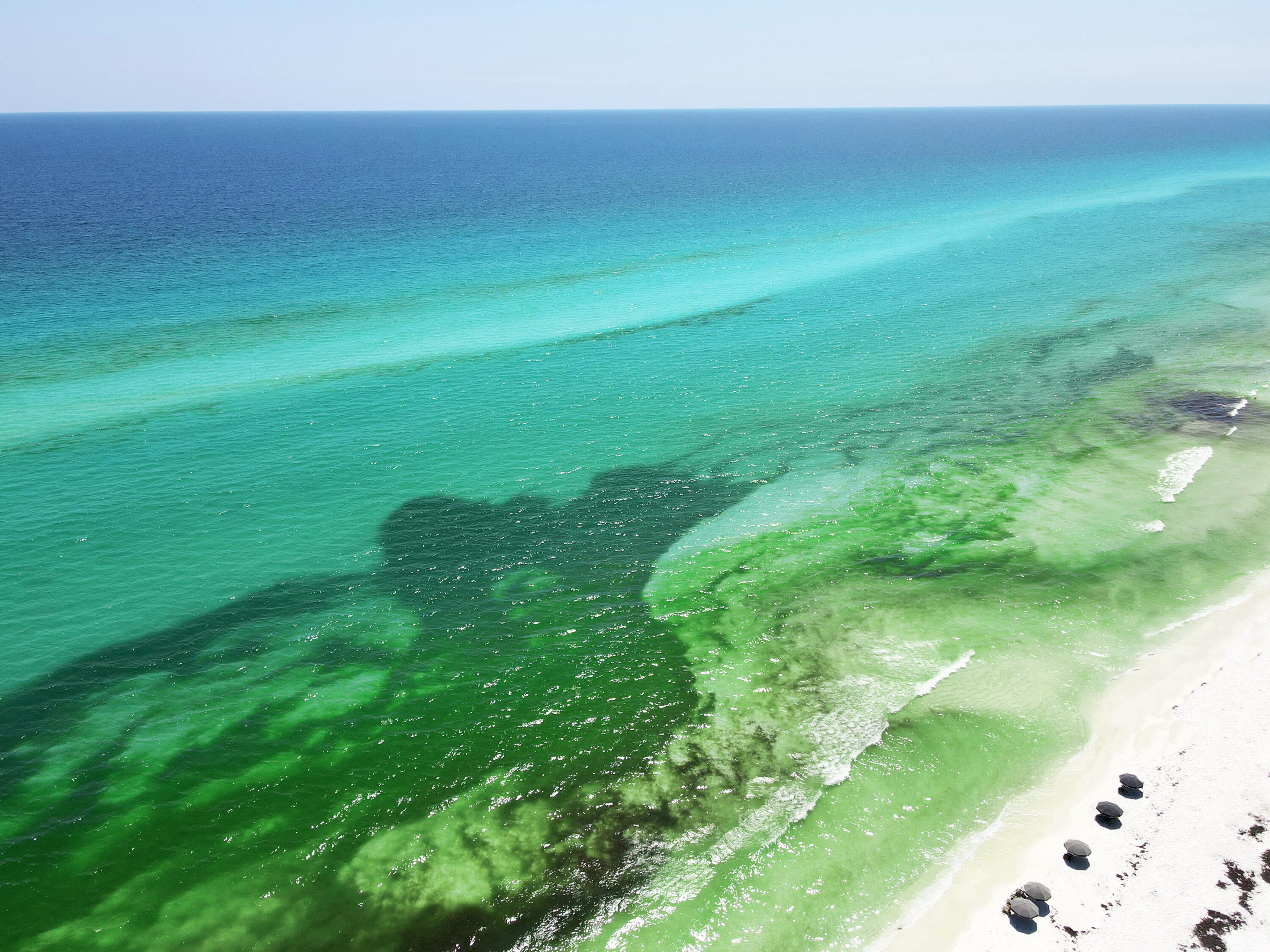 PARK PLACE ON SEAGROVE BEACH - Residential