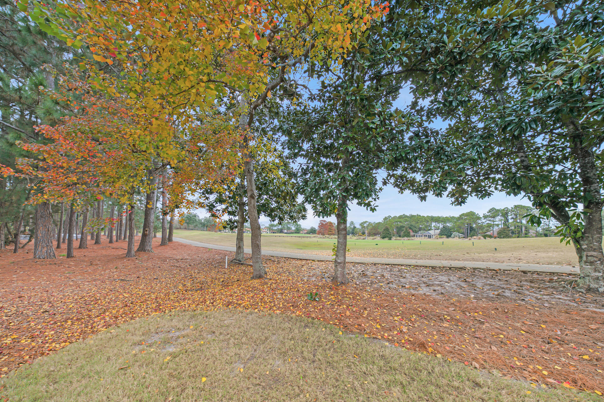 LAUREL GROVE - Residential