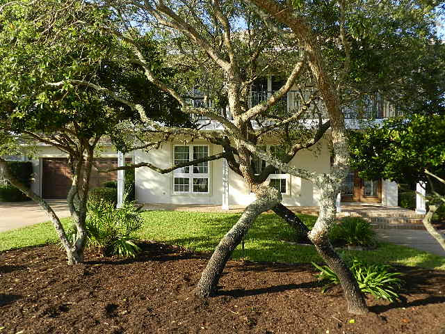 EXQUISITE! WATER VIEW HOME WITH HEATED POOL AND SCREENED-IN 2 STORY LANAI! 2466 Sq. ft, 3 bdrm, 2 bath, 2 story New Orleans Style home with both front and back water-views. Amazing entertainment area! Home features: Custom Cherry Cabinets, 3 mil. granite, center island w/prep sink, 17' x 14' kitchen w/kenmore elite appliance package, 48'' 5 burner stainless steel range, commercial 48' stainless hood vent, 11' raised ceilings, designer faucet, undermount granite sink, glass doors for China, pantry, 4 bar-stool breakfast bar, travertine flooring, tumble tile backsplashes, can lights,specialty lighting fixtures, jalousie impact windows, leaded glass entry doors, large foyer, 1/2 bath with pedestal sink and custom lighting.