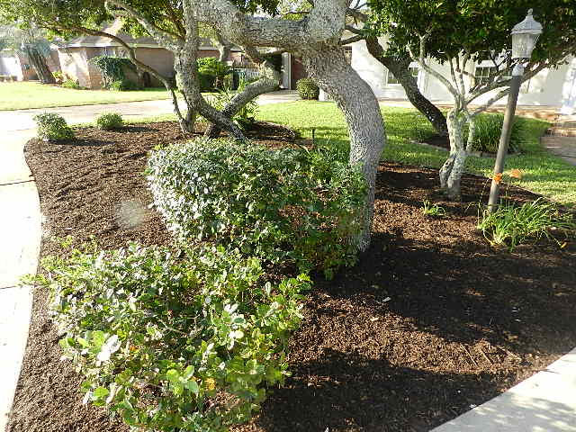 EMERALD POINTE PLAT 3 - Residential