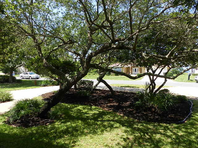 EMERALD POINTE PLAT 3 - Residential