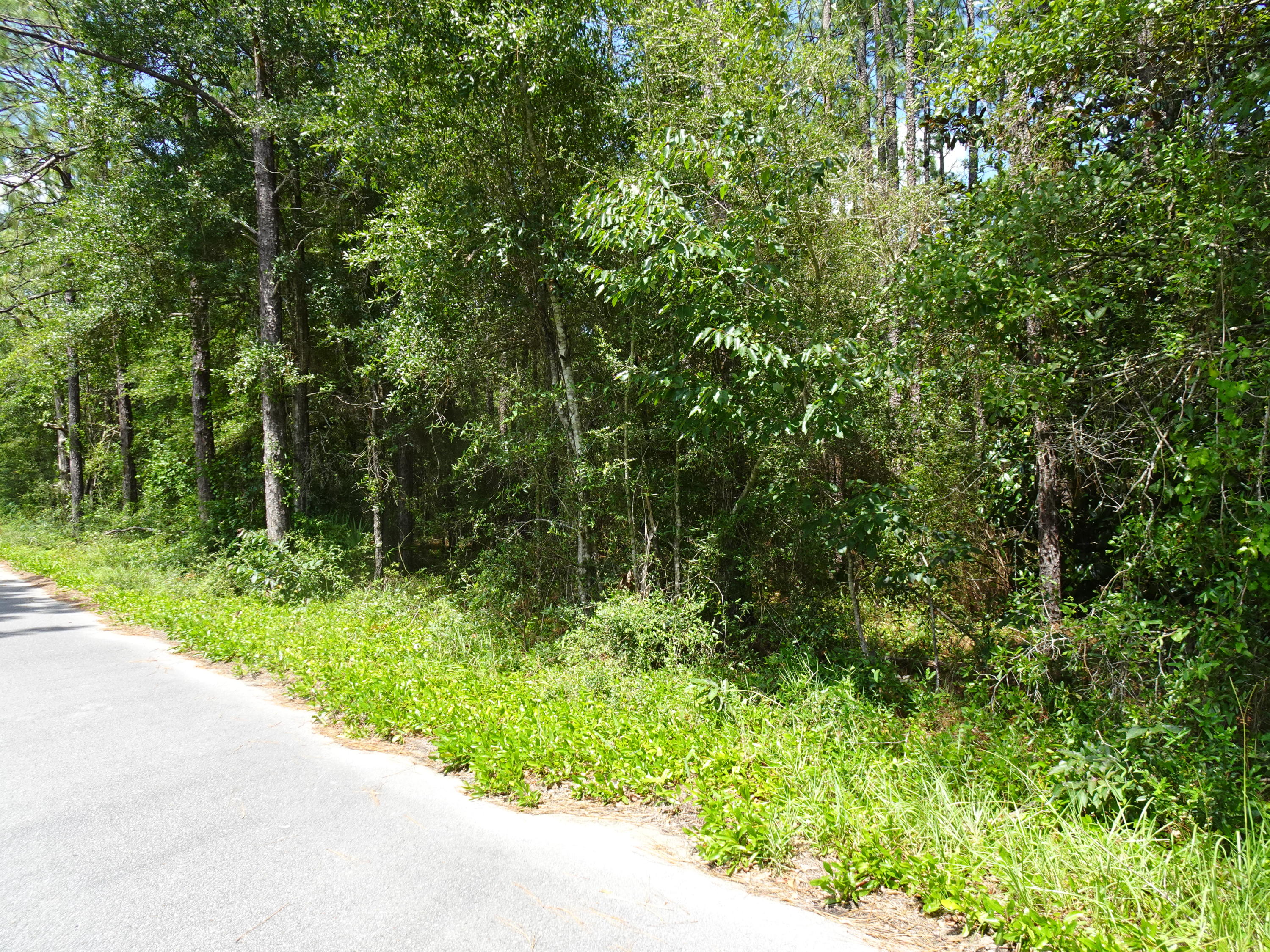 METES & BOUNDS - Land