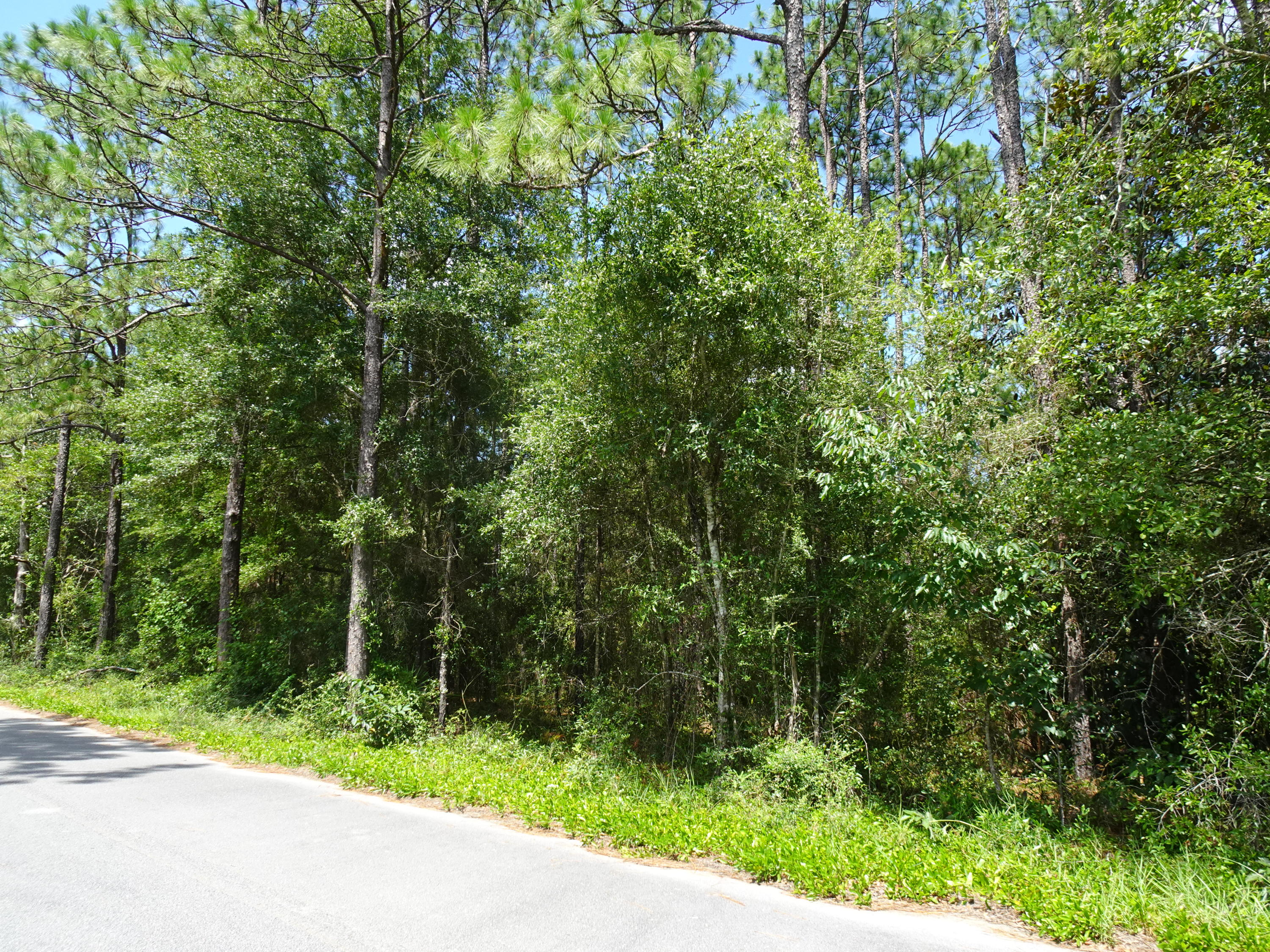 Located in the Woodlawn Community South of Defuniak Springs. This is a lightly wooded level 4.71 acre parcel on a paved road. Buyer will need a well and septic tank on property. Perfect for constructing a home or a manufactured home. Not many small acreage parcels available between DeFuniak Springs and Freeport.