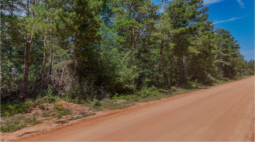 Discover the charm of Oakwood Hills, where peaceful living meets prime location! This beautiful parcel sits on a maintained county road, ready for your dream home. With utilities available at the road, building is easy and hassle free. Surrounded by Florida's natural beauty, you'll enjoy a serene setting just 3.5 miles from shopping and dining, and only 35 miles from the stunning beaches of South Walton. Whether you're planning a forever home or a getaway retreat, this lot offers the perfect blend of quiet country living and convenient access to modern amenities. Don't miss your chance to claim a piece of paradise in the sought-after Oakwood Hills community-where your dream lifestyle awaits!