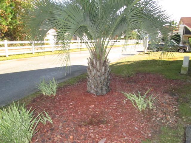 LA MAR WEST T/H PH 2 - Residential