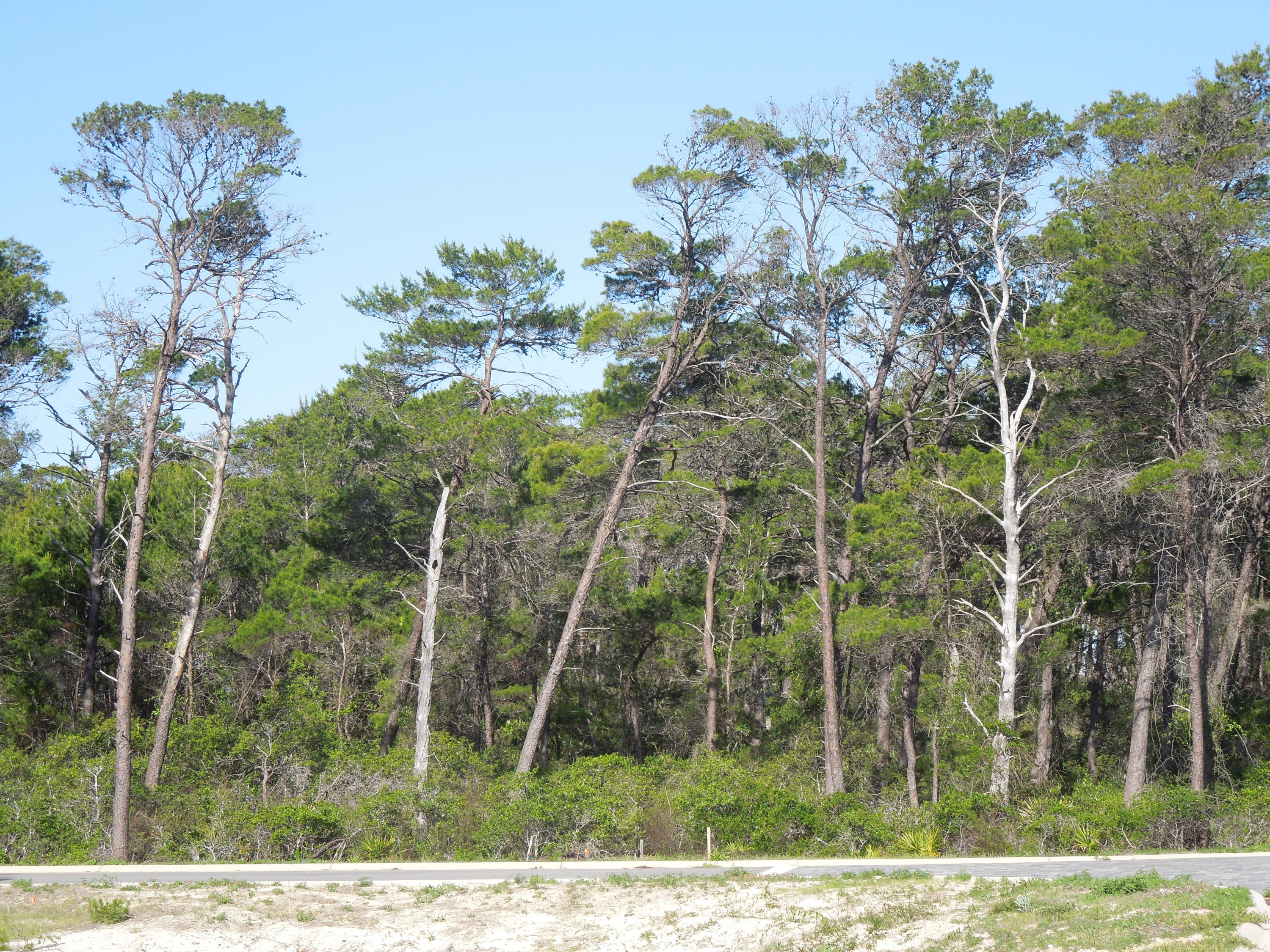 36-3S-18-16100-000-0460 - Land