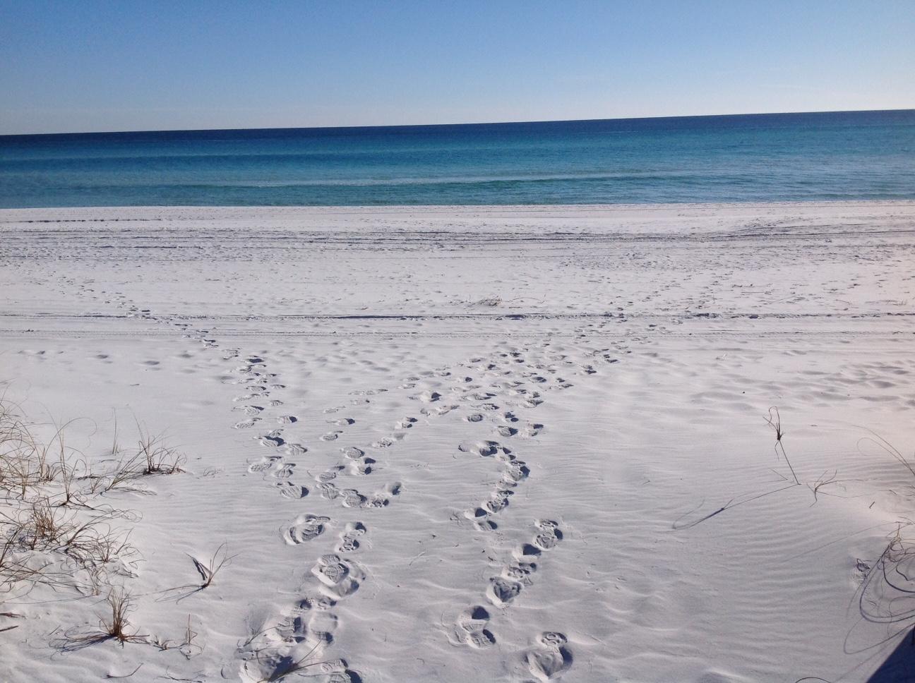 GULF WINDS EAST PH 2 - Residential