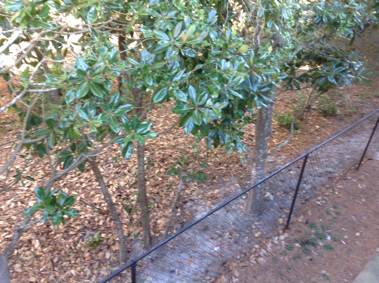 GULF WINDS EAST PH 2 - Residential