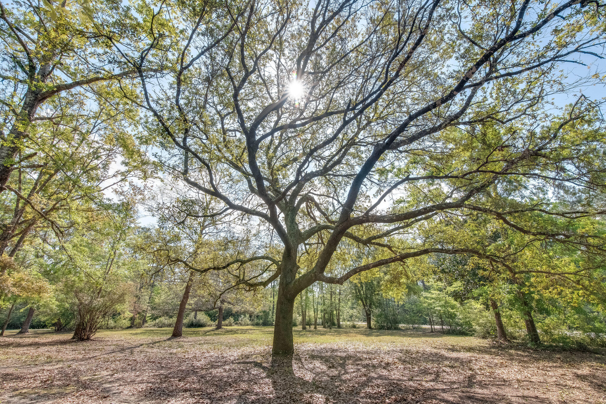 TROUT BAYOU 1ST ADDN - Land