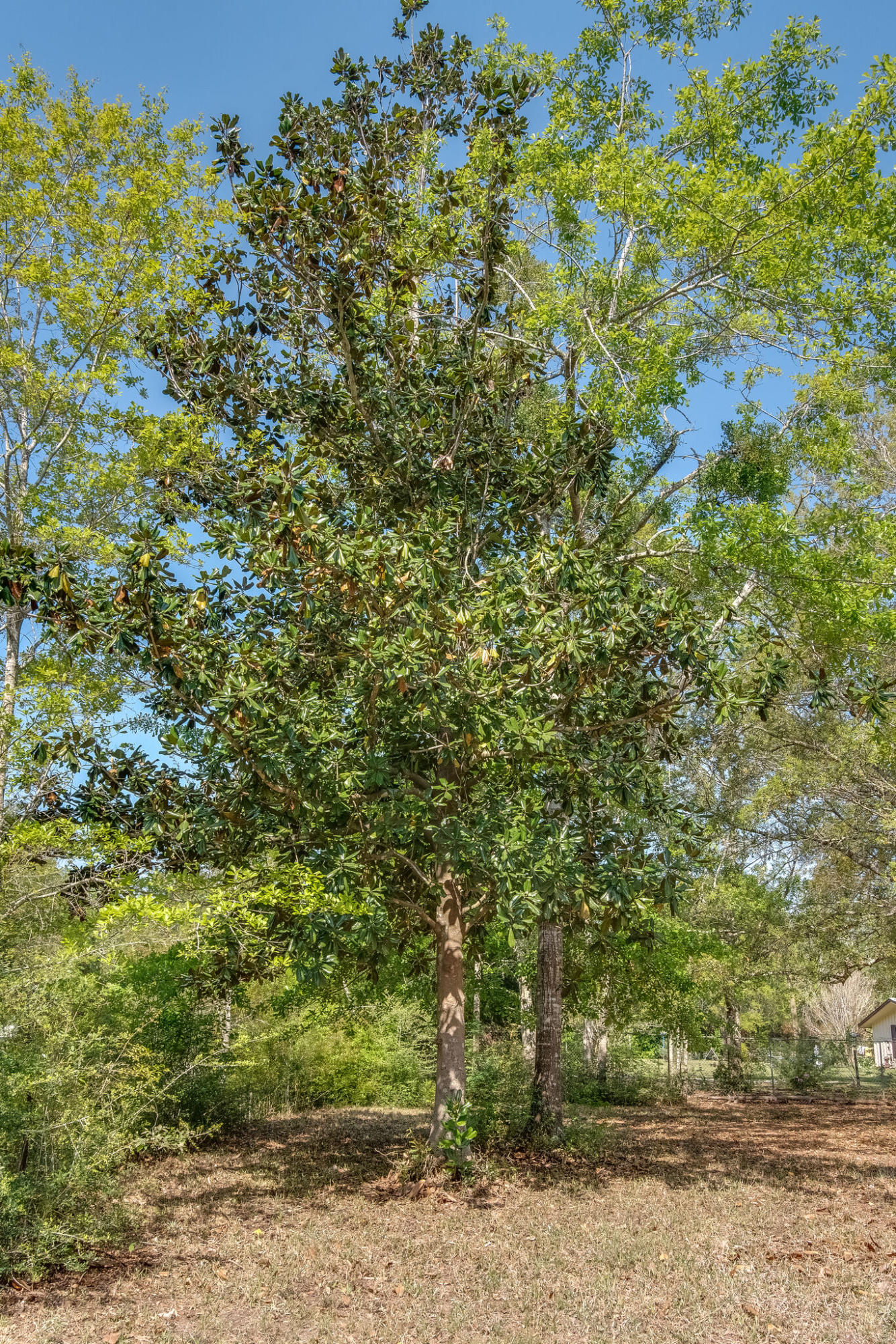 TROUT BAYOU 1ST ADDN - Land