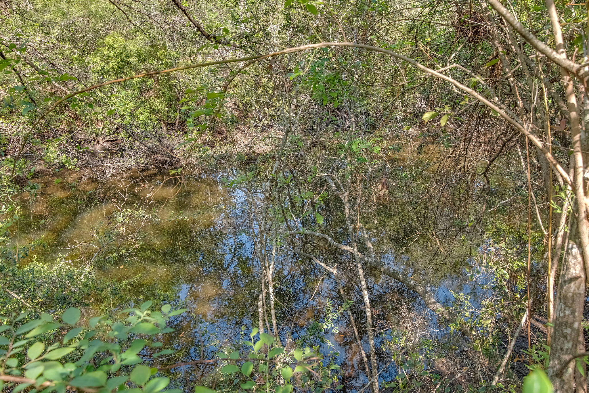 TROUT BAYOU 1ST ADDN - Land