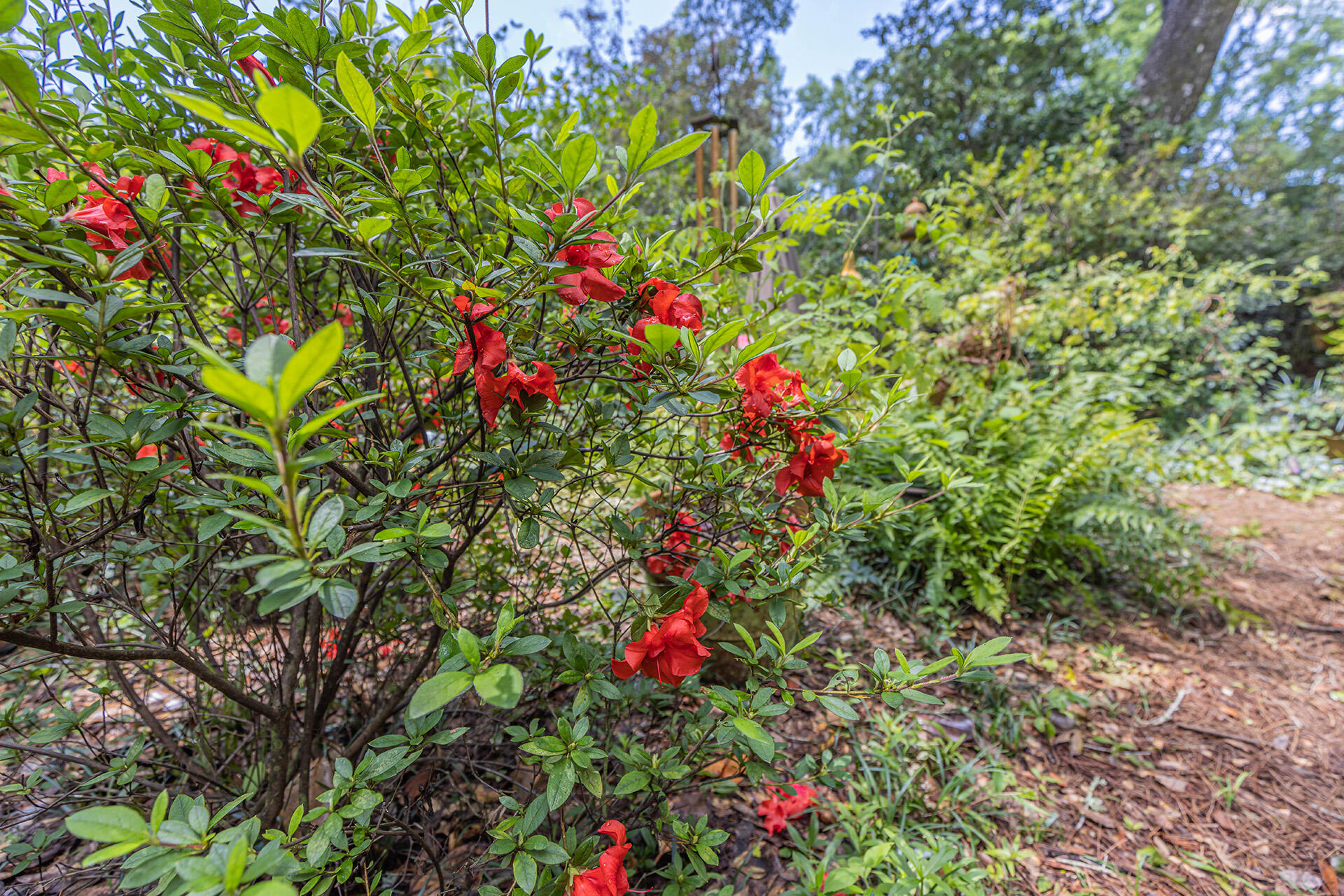 MAGNOLIA SHORES S/D - Residential