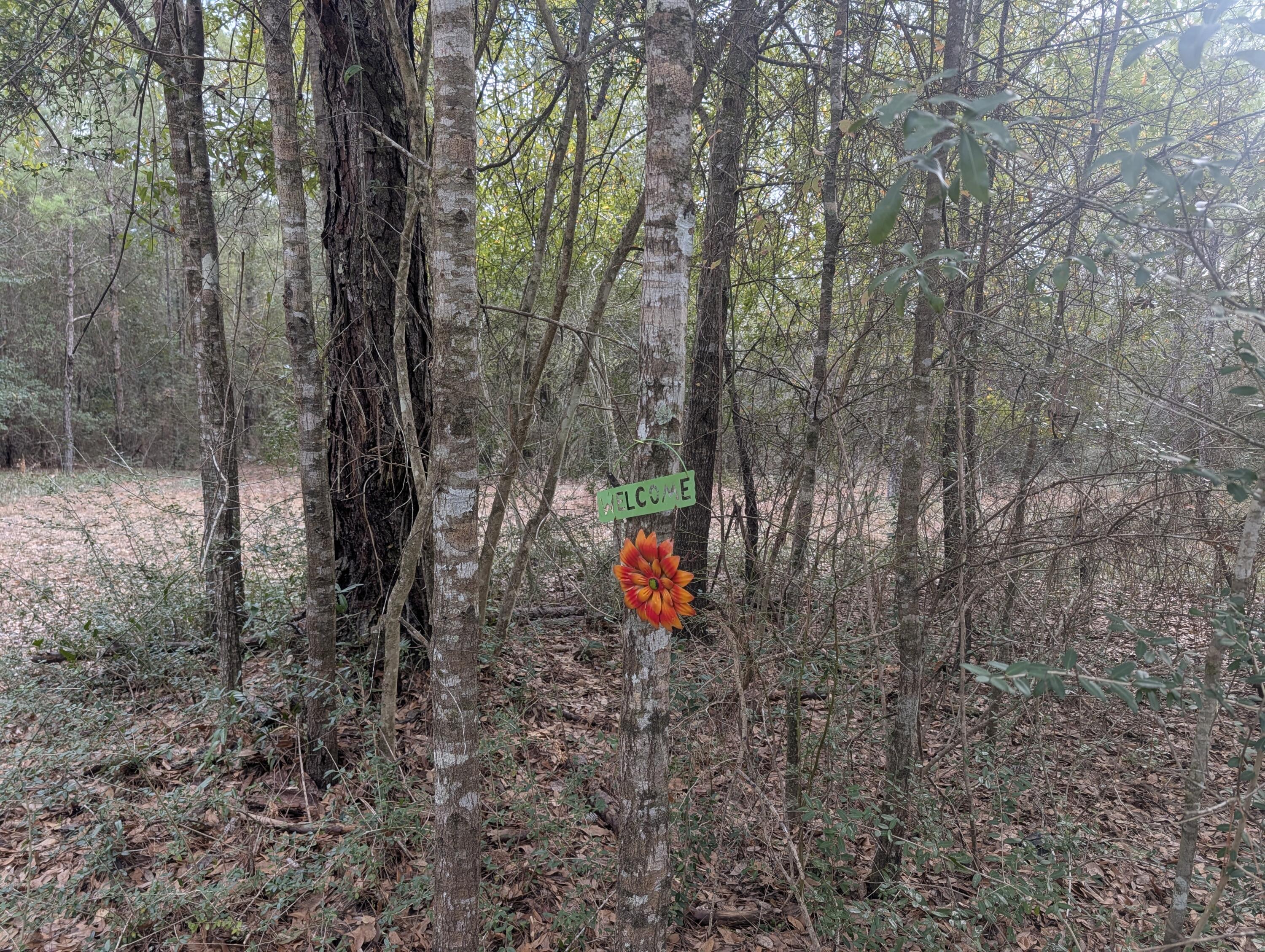 SHOAL RIVER PLANTATION UNREC S/D - Land