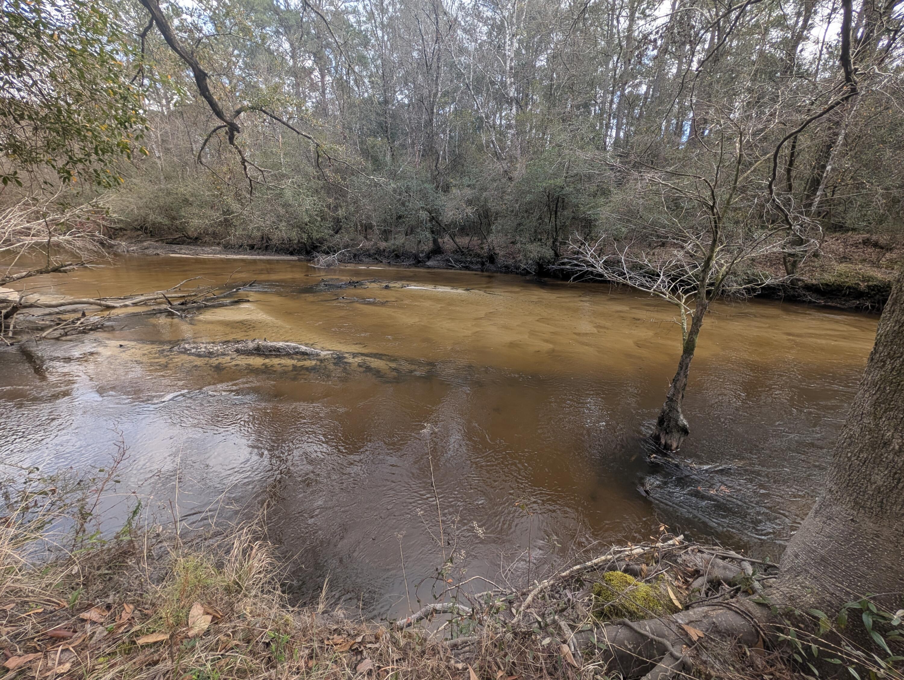 SHOAL RIVER PLANTATION UNREC S/D - Land