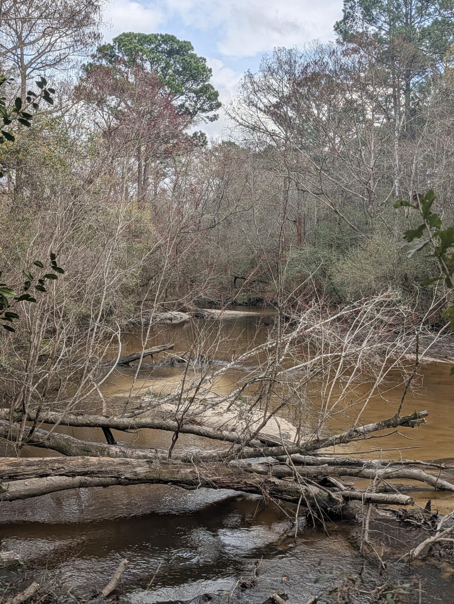 SHOAL RIVER PLANTATION UNREC S/D - Land