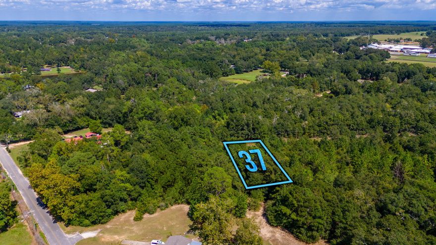 Great level lot located in the city limits of Paxton with Paxton utilities available.  Lot is wooded and would make a perfect homesite for your new build or mobile homes are allowed. Clear your lot to your likings to leave privacy as you like. Lot would make a great lot for a mobile home and land package as well as a great lot to build your home within minutes to the schools, parks, and ballparks making it great to raise your family within minutes to amenities. Lot is also located just a few miles to Beautiful Lake Jackson for all your water sport activities.