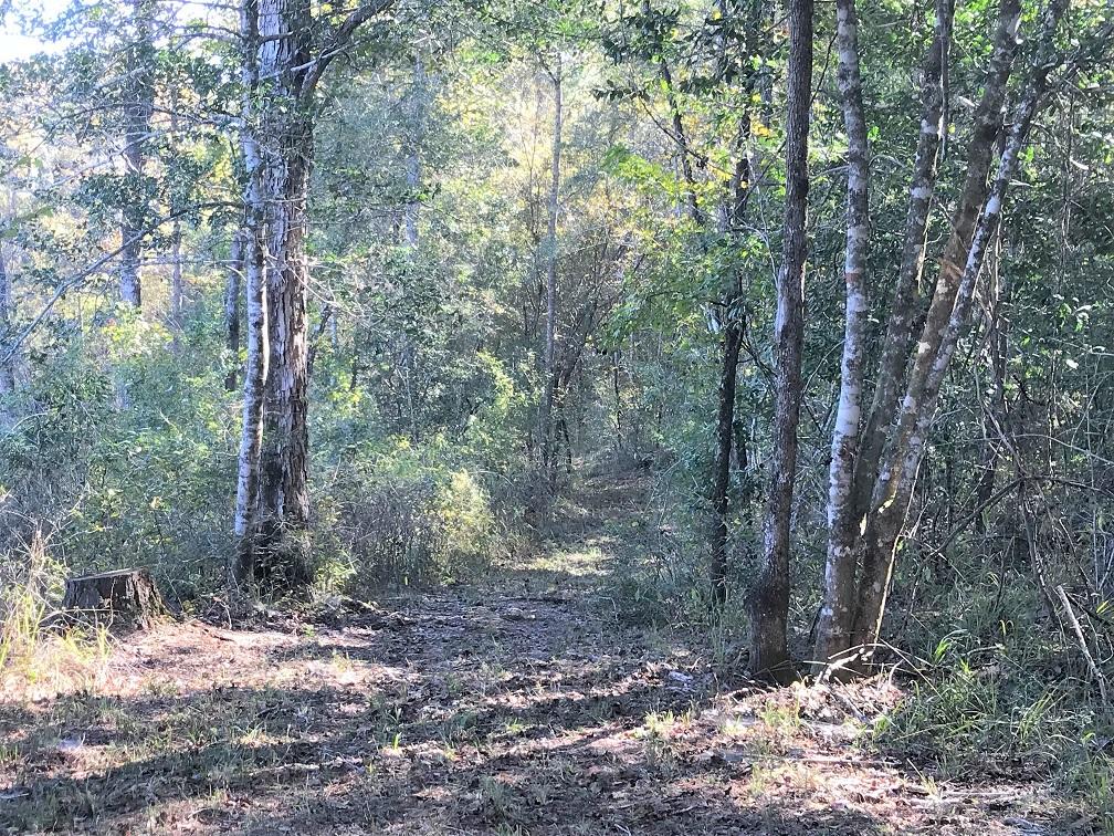 METES & BOUNDS - Land