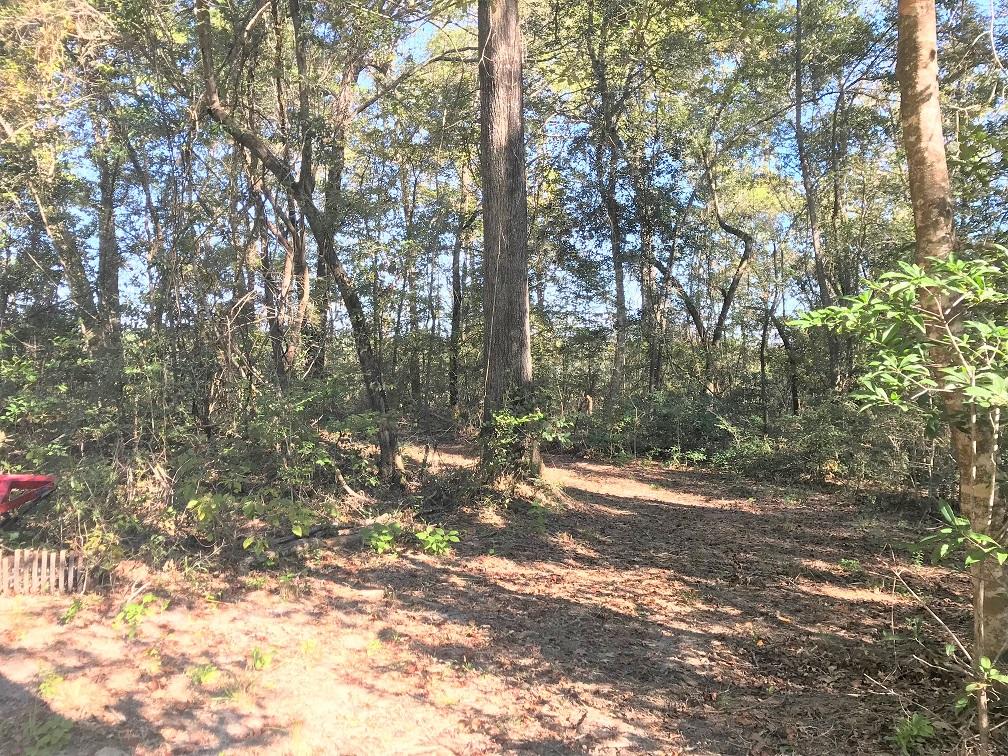 METES & BOUNDS - Land