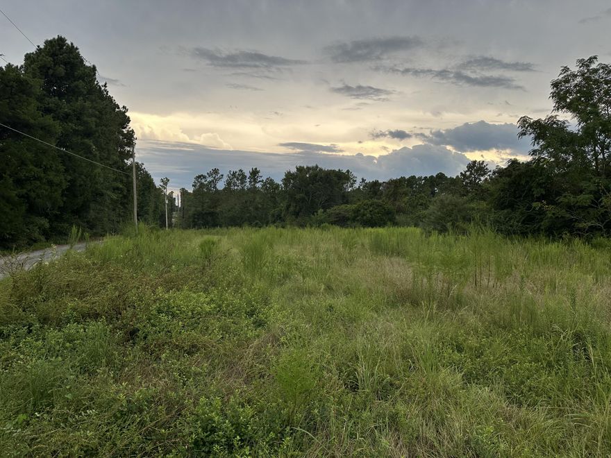 Bring your house plans or development ideas! Vacant land zoned as R-1 Residential. Owners believe that county will allow 4 houses per acre with a Development order. Mostly cleared.   along Auburn Rd as well as Johnson Lane. There was a water meter at one point but buyers would need to verify with county if it is usable. Seller has new survey!