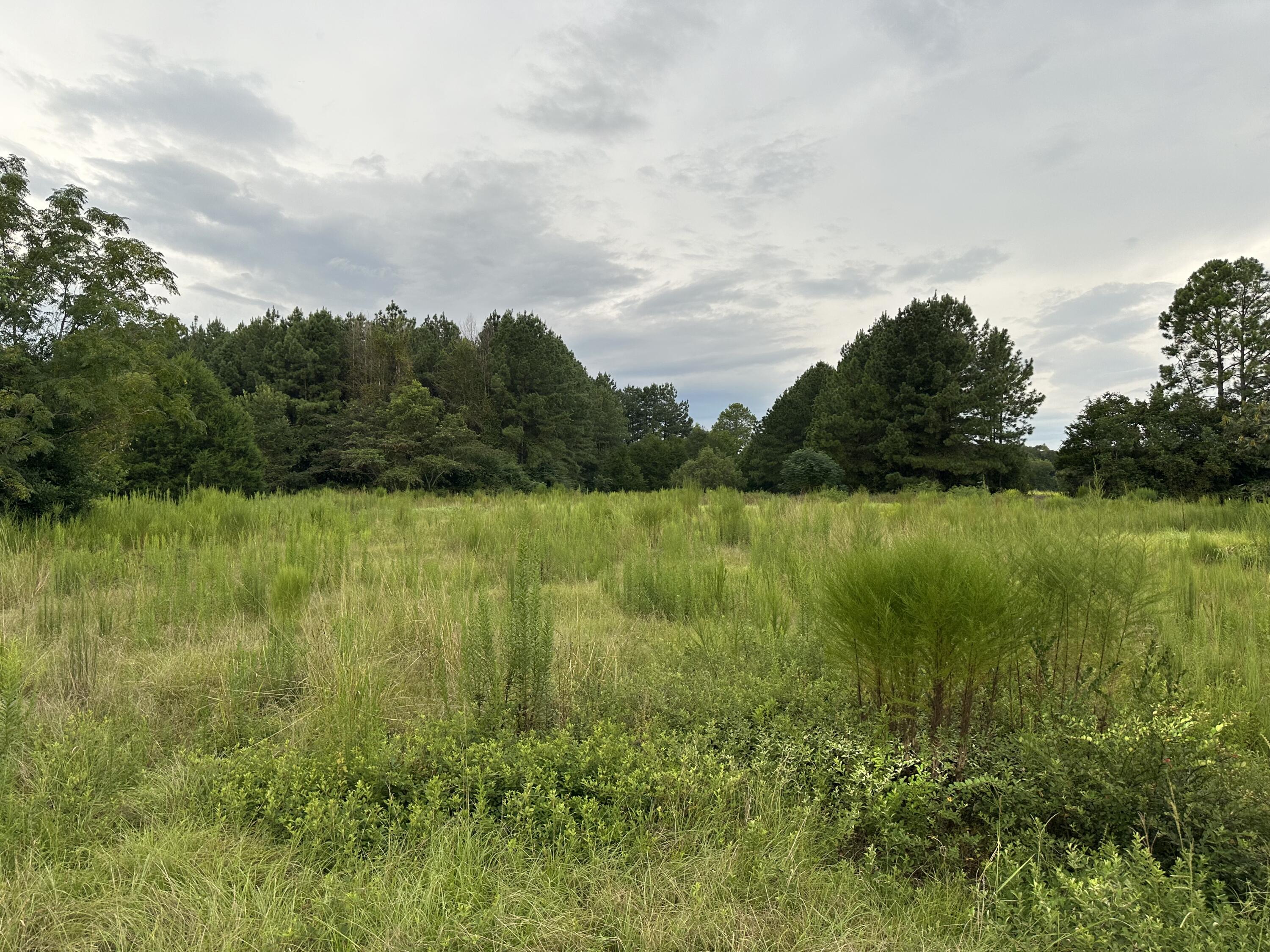 NO RECORDED SUBDIVISION - Land