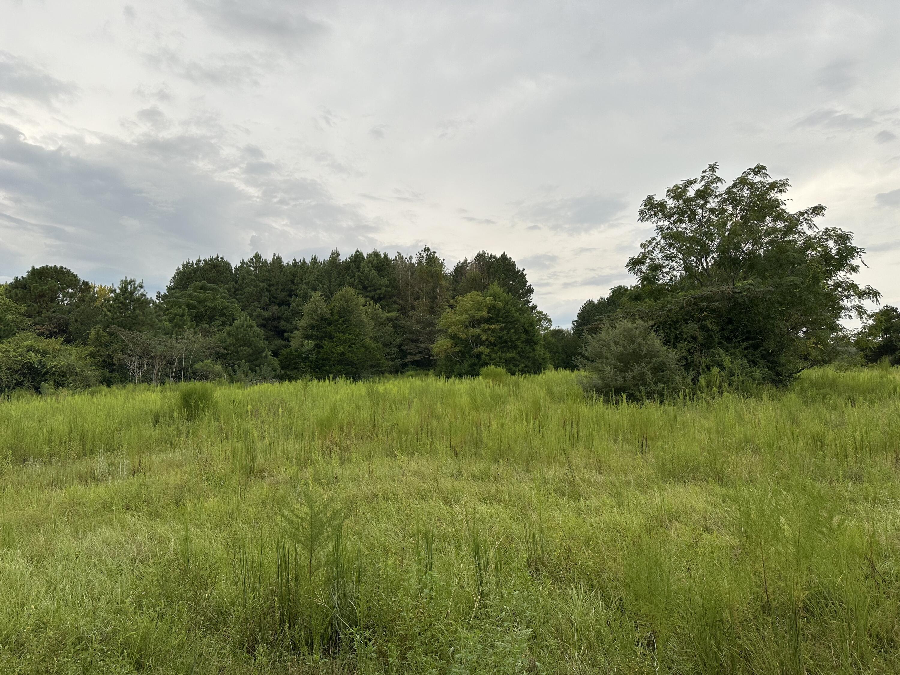 NO RECORDED SUBDIVISION - Land