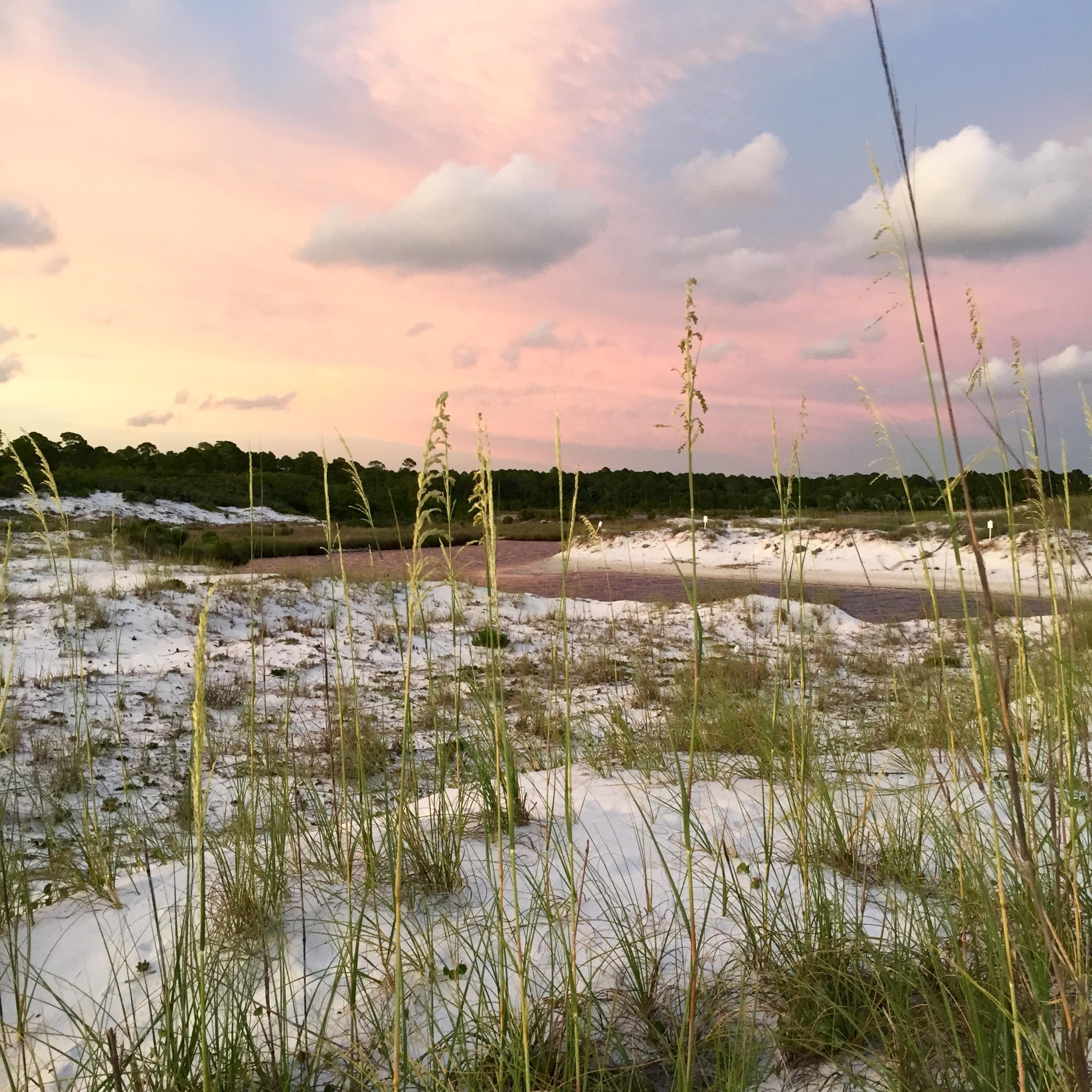 WATERSOUND WEST BEACH - Residential