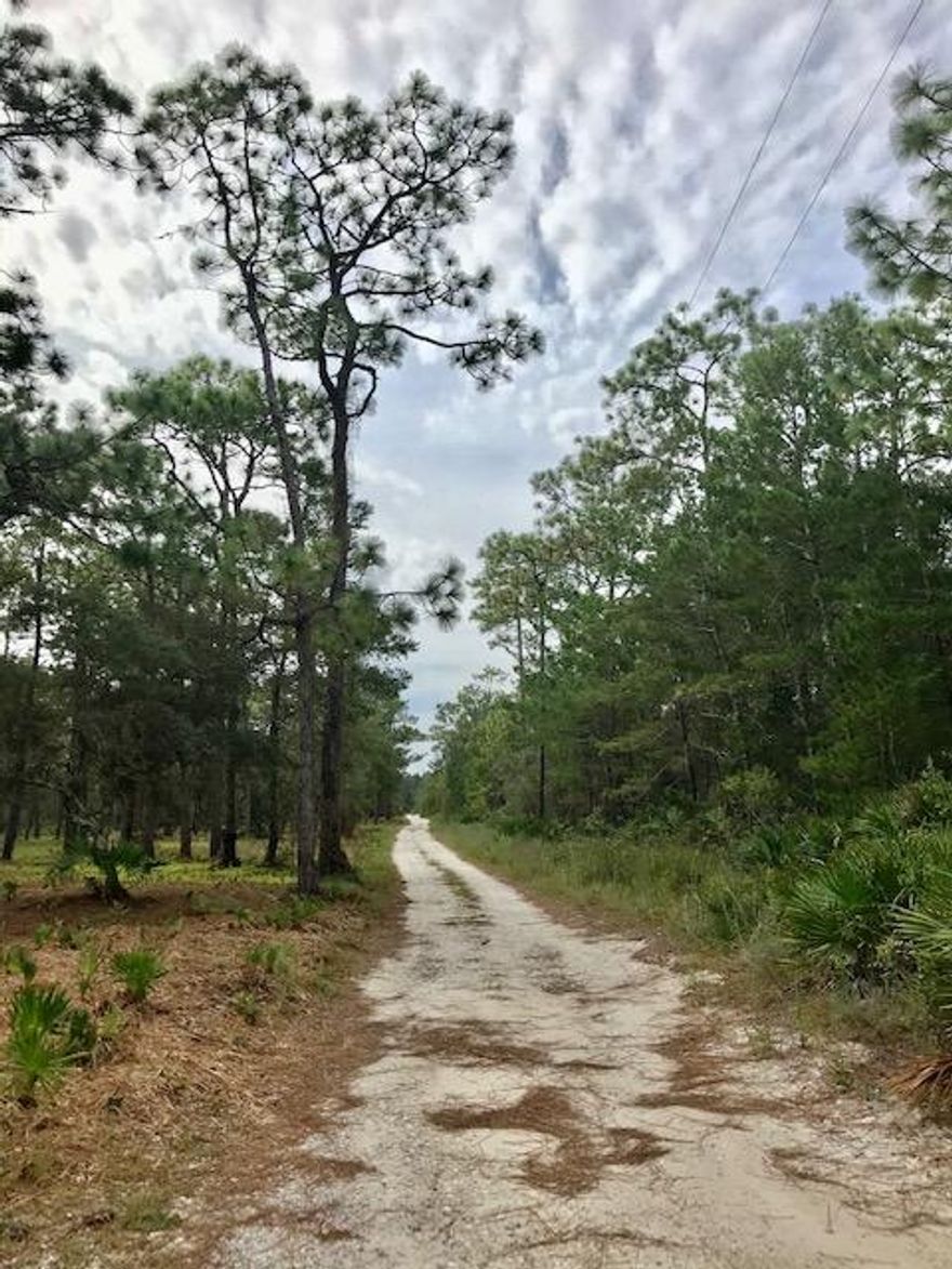 TRACT has just been bush-hogged for easy inspection & walking all over the entire 5 acres. Look for the old ''Cat's Paw'' trees from the days of turpentine farming (100 year growth). Parcel is 'High & Dry'. Great 'Family Estate' site - horses ARE allowed! OR Developers - up to 10 units on this site with 1/2 acre Conservation Residential Estate Lots. Tract may be split into 2 - 2.5 acre parcels without any need for D.O. or platting. Deeded Lake (Lake Powell less than 1000') & multiple Gulf of Mexico beach accesses in this neighborhood - by Government Patent.Minutes to all the activity of Scenic 30A, restaurants, shops and Public Beach Access at Inlet Beach. Co-Listing Agent is the Seller and a Licensed Florida Real Estate Broker.