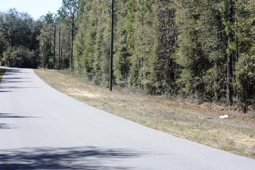 LARGE ONE ACRE (+,-) WOODED PARCEL FOR YOUR FUTURE HOME SITE. LOCATED ON PAVED ROADS. HIGH AND DRY LOT. LISTING IS FOR ONE ACRE (+,-) TO BE DIVIDED OUT OF THE TOTAL PARCEL LISTED IN LEGAL DISCRIPTION. CLOSE TO TOWN YET OUT ENOUGH FOR YOUR OWN SPACE. SEE DRAWING PARCEL #4