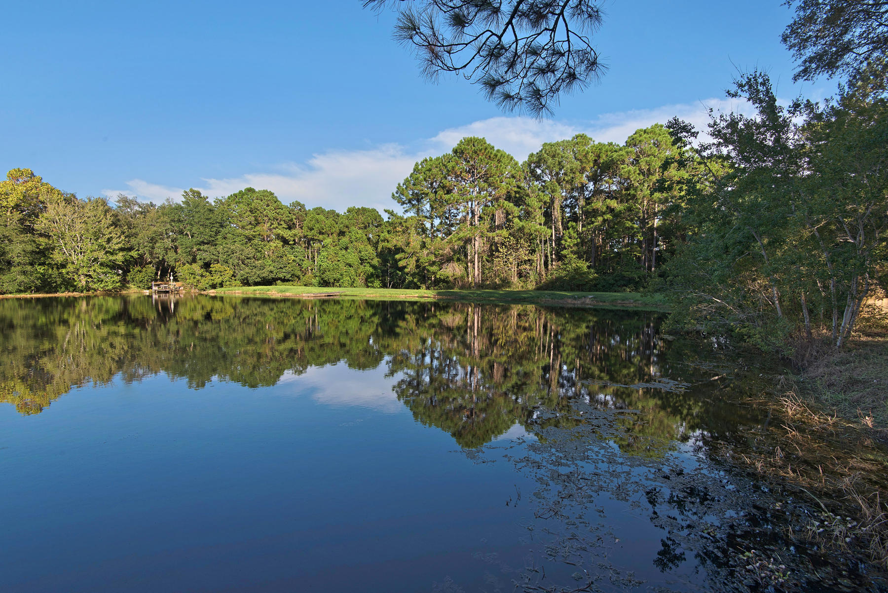 PALM ESTATES UNIT 1 - Residential