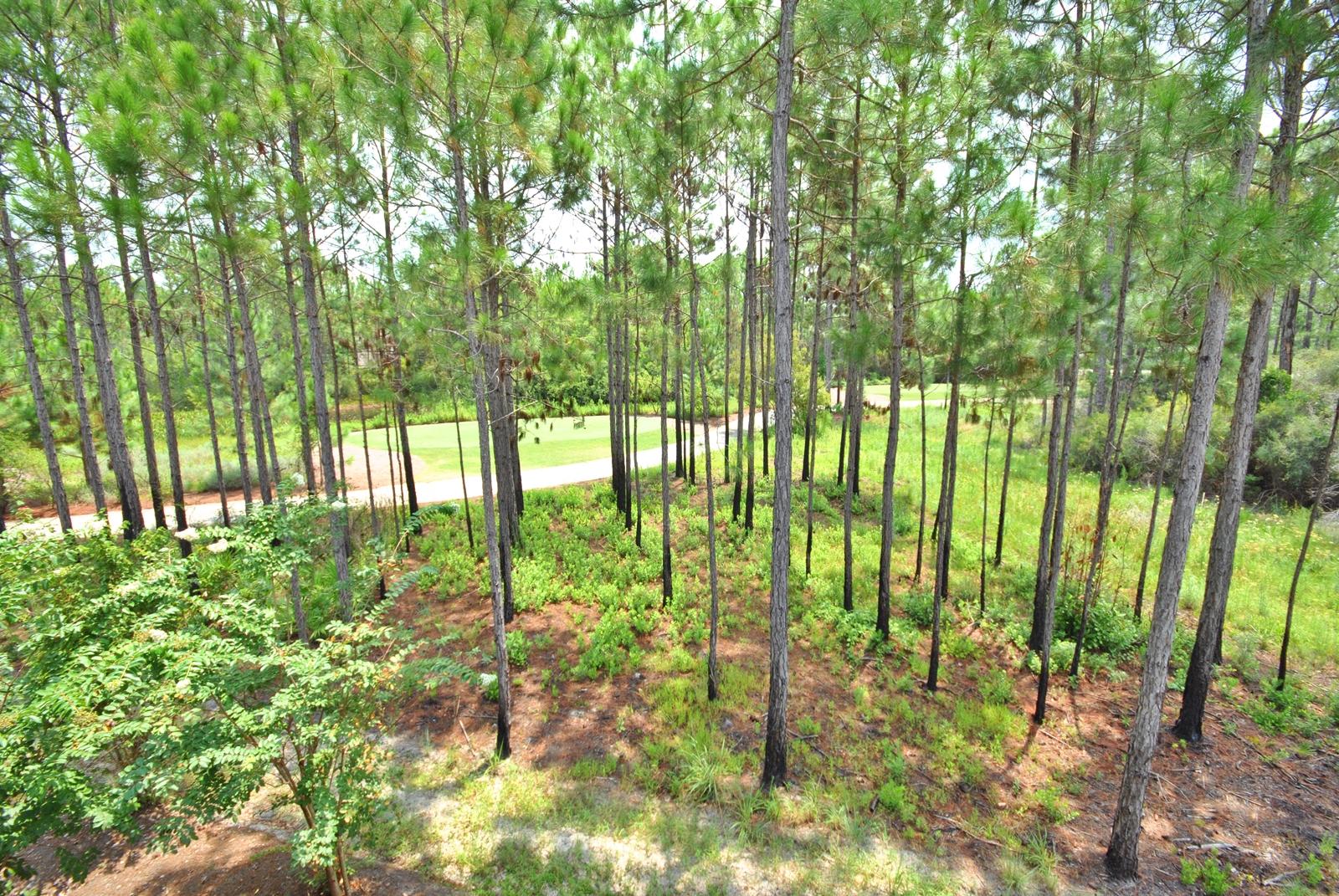 Wild Heron - Residential