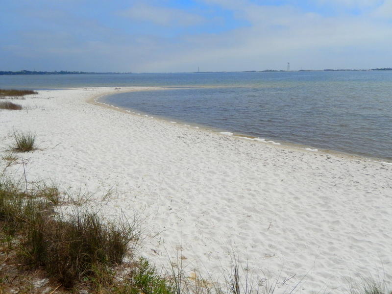 BISCAYNE POINTE - Residential