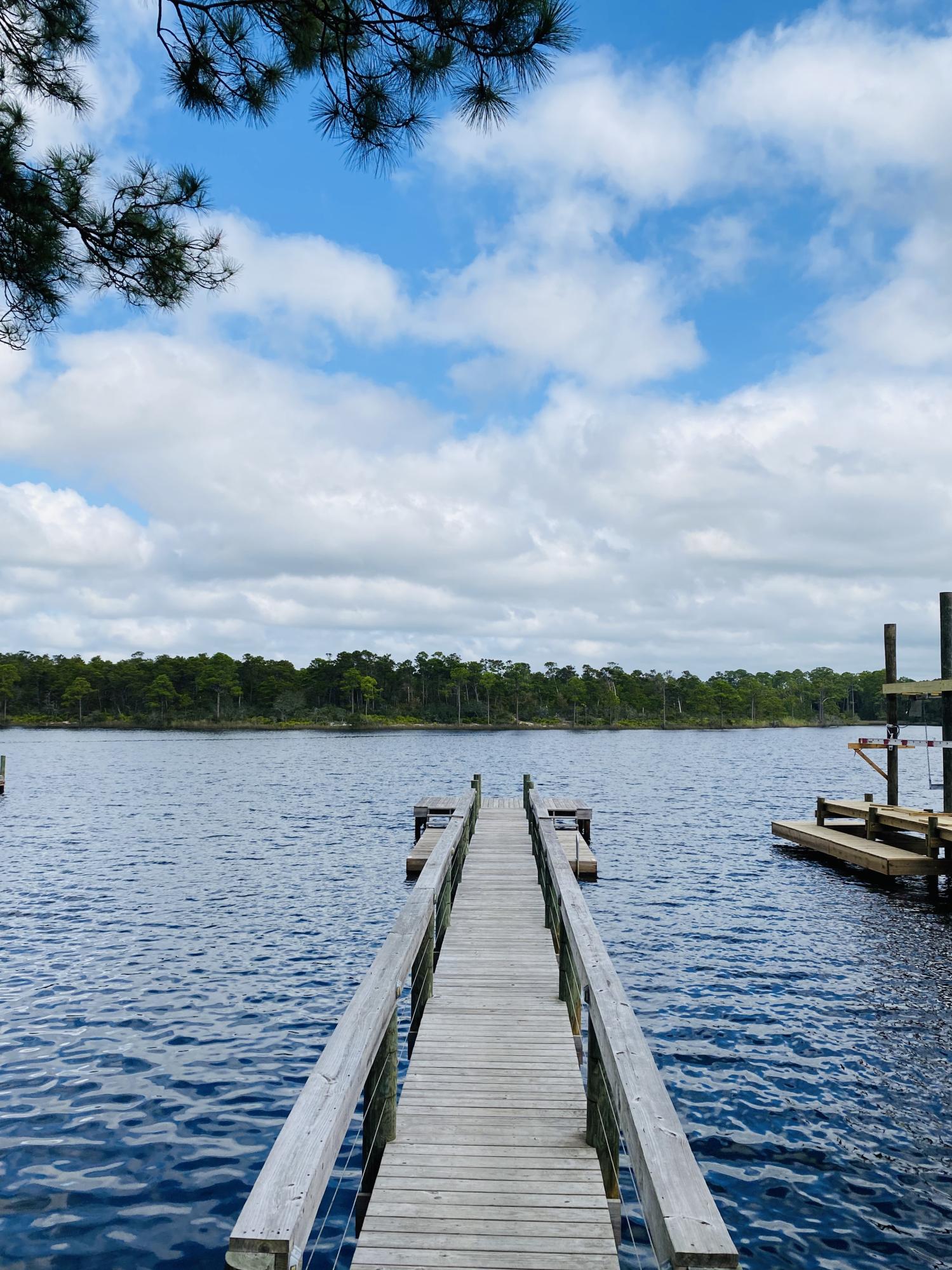 GRANDE POINTE AT INLET BEACH - Land