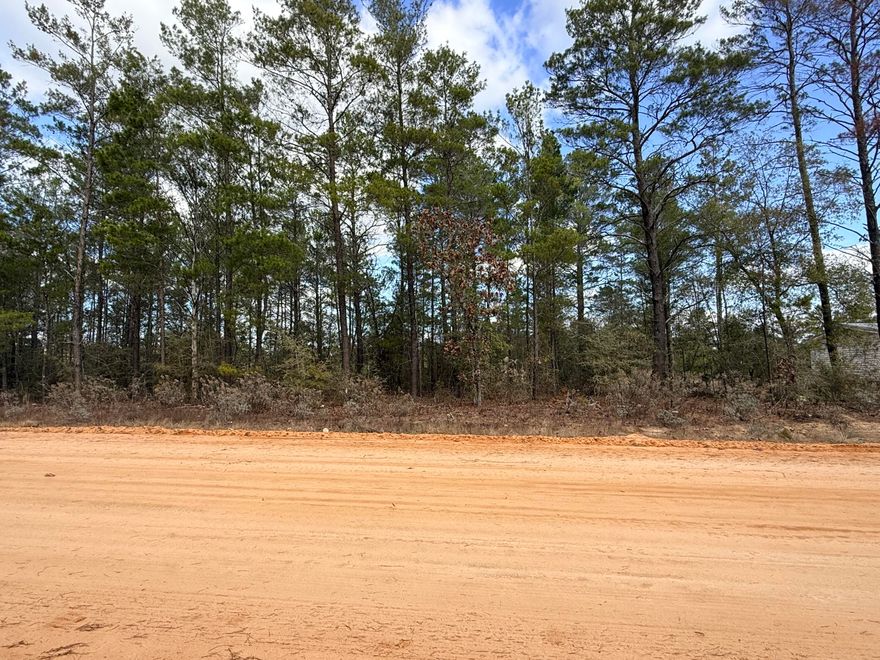 Looking for seclusion? This beautifully wooded 0.23-acre lot is located between DeFuniak Springs and Mossy Head, Florida. This lot backs to Oakwood Hills park. No HOA and minimal restrictions offer flexibility--mobile homes are allowed. Power is available at the road; buyer to install well, septic, and power. Situated in Flood Zone X (low risk). Per Walton County GIS mapping, the property does not appear to contain wetlands. Convenient access to I-10 and CR 285 provides easy commuting in all directions. Just .04 of a mile from US-90. Approximately 30-45 minutes to major employment centers and the Emerald Coast's white sandy beaches, including Destin's world-famous Crab Island. A survey is required to confirm property boundaries and dimensions. All information deemed reliable but not guaranteed. Property dimensions are approximate per CRS Property Data Report.