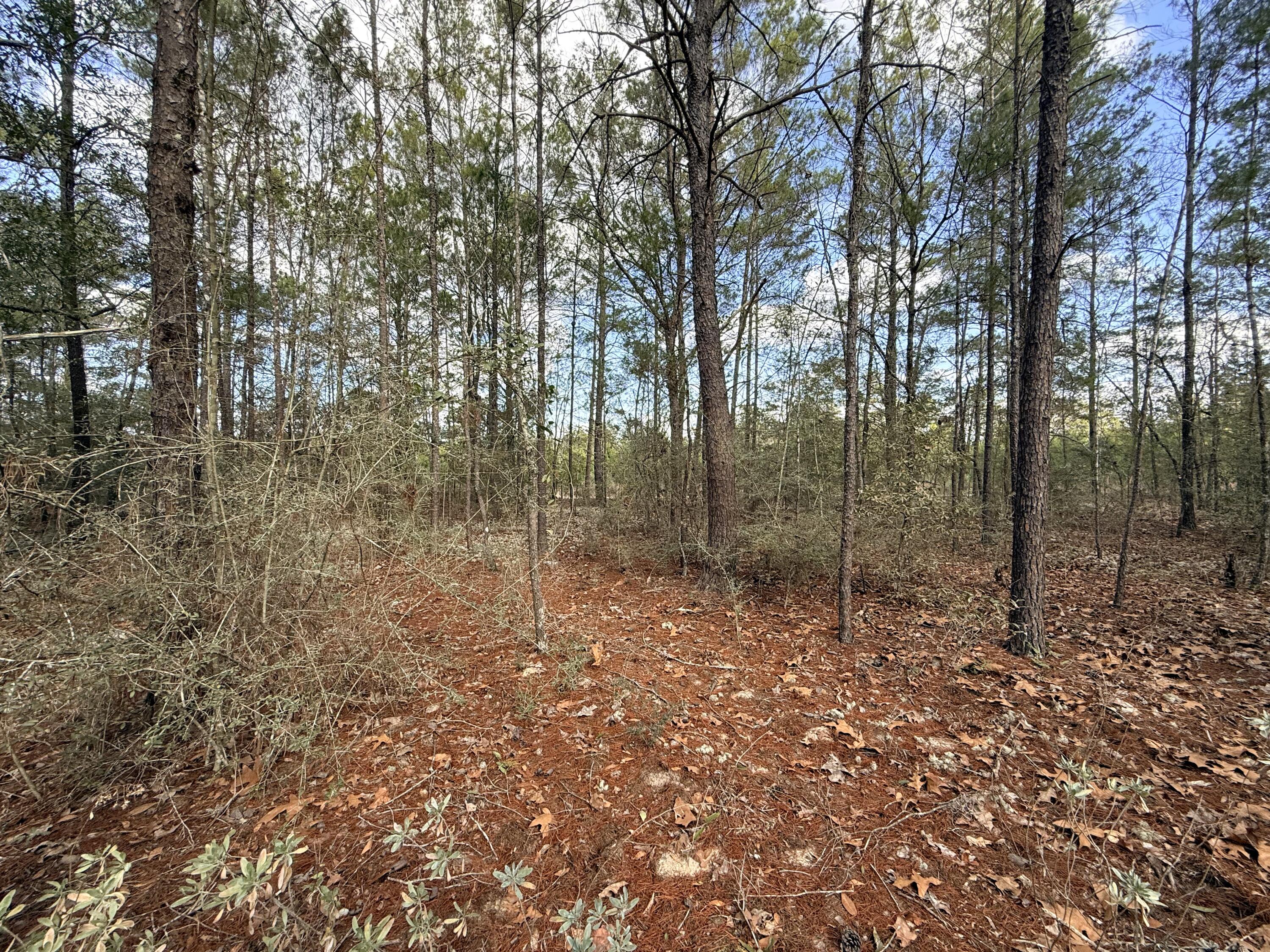 OAKWOOD HILLS UNIT 1 (section 16, plat book 3 page 9) - Land