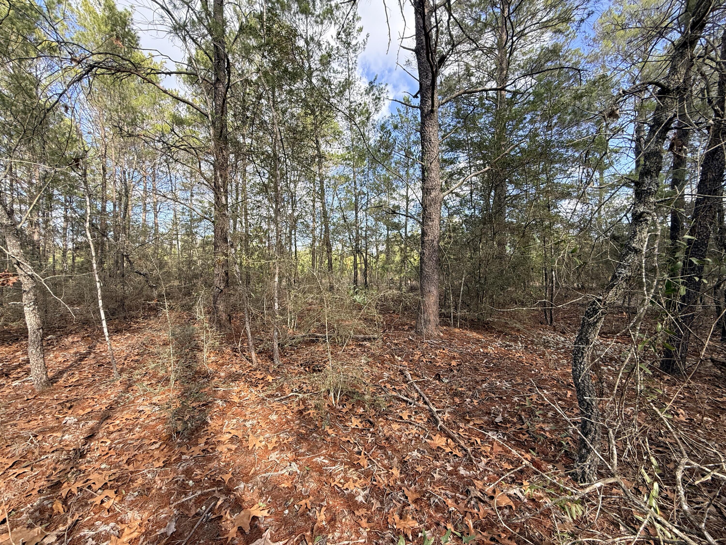 OAKWOOD HILLS UNIT 1 (section 16, plat book 3 page 9) - Land