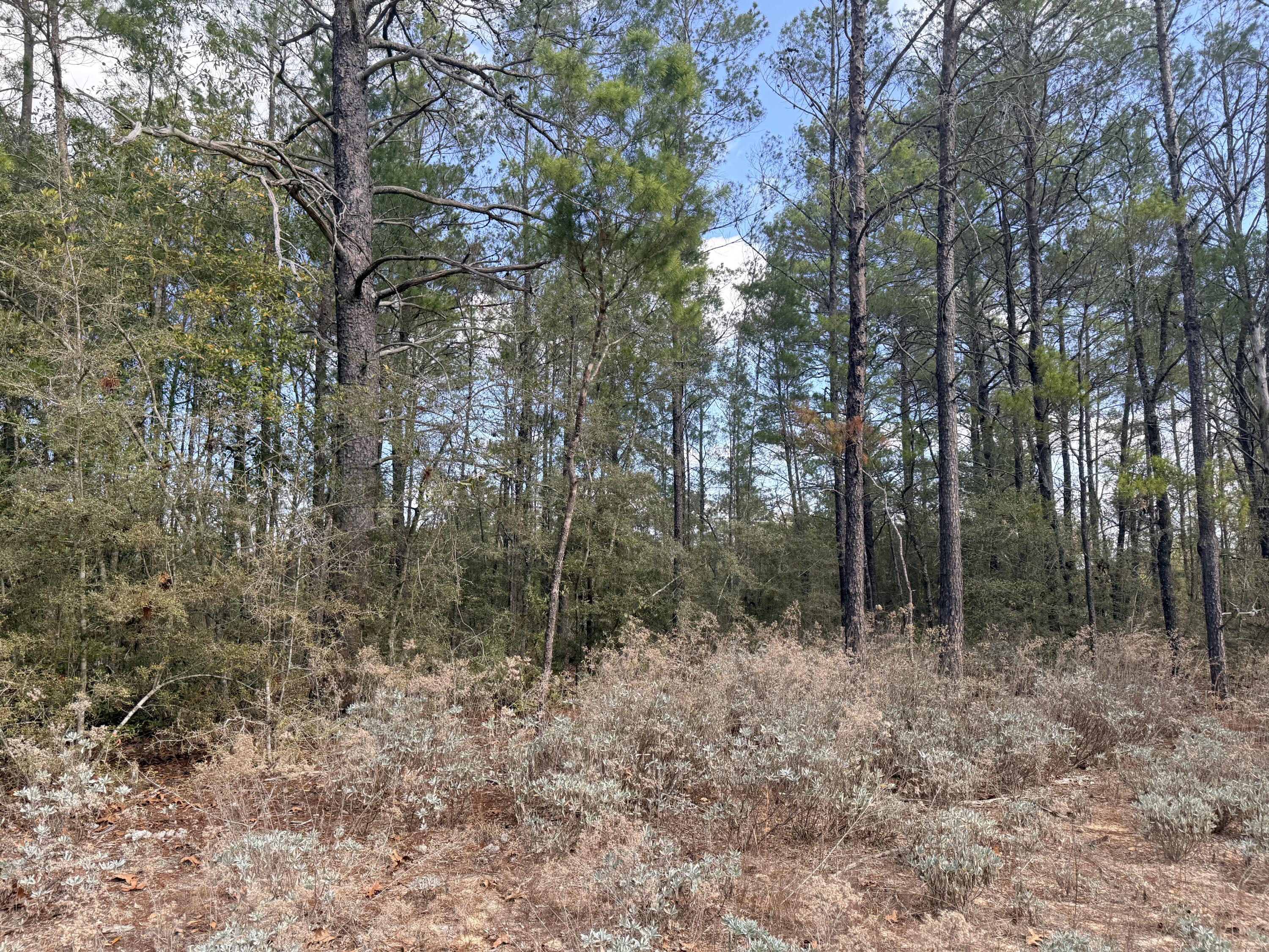 OAKWOOD HILLS UNIT 1 (section 16, plat book 3 page 9) - Land