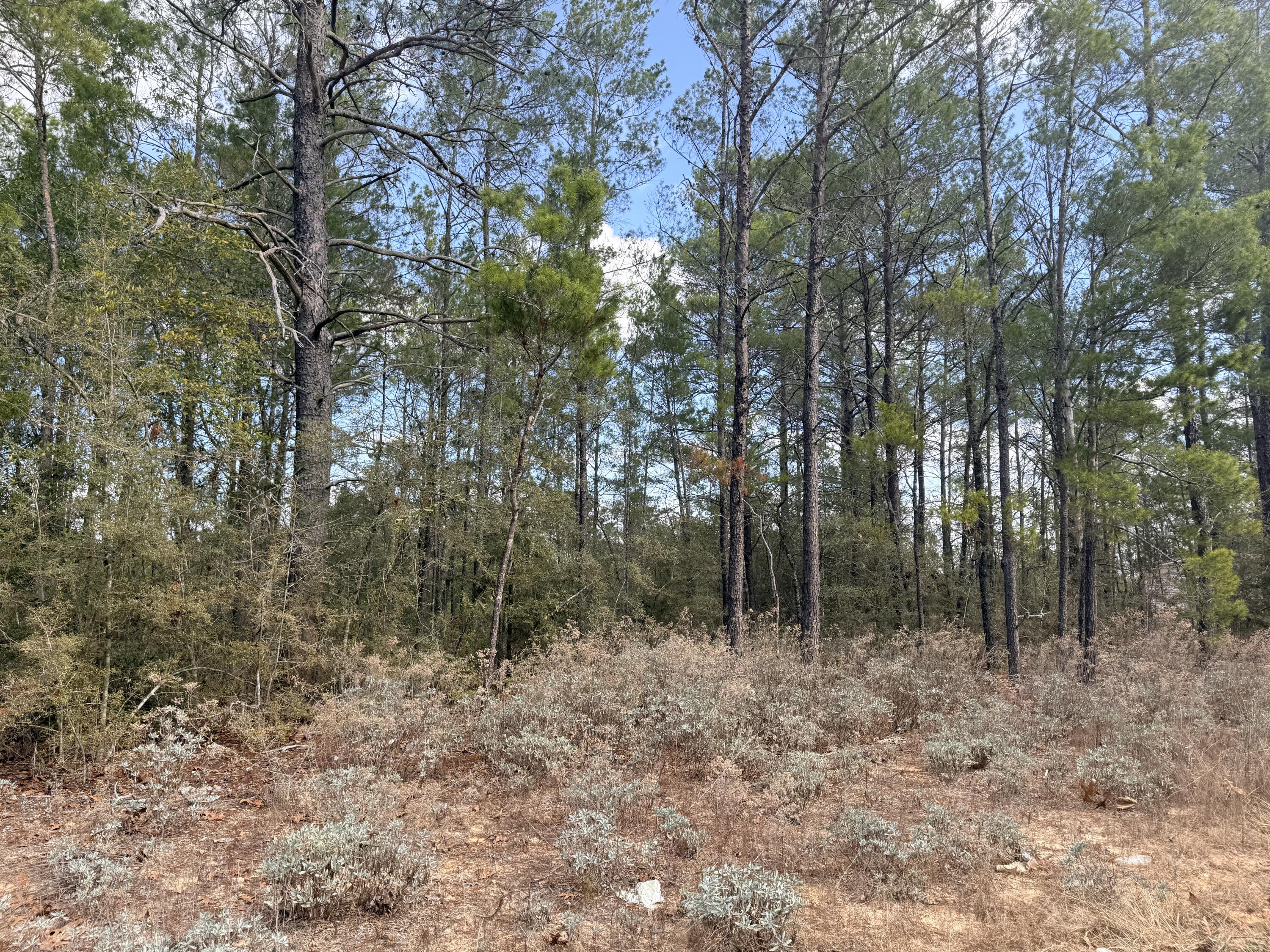 OAKWOOD HILLS UNIT 1 (section 16, plat book 3 page 9) - Land