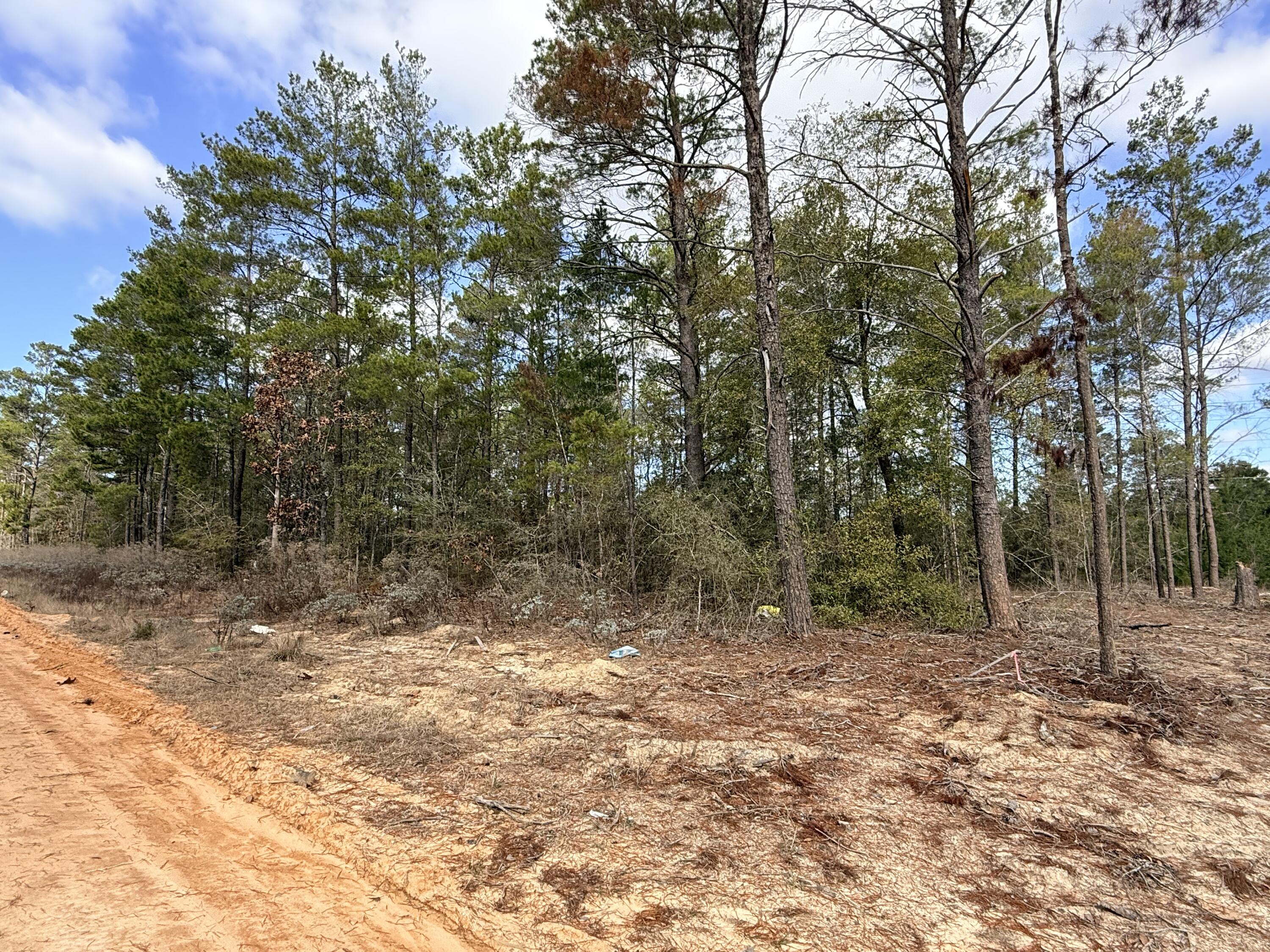 OAKWOOD HILLS UNIT 1 (section 16, plat book 3 page 9) - Land