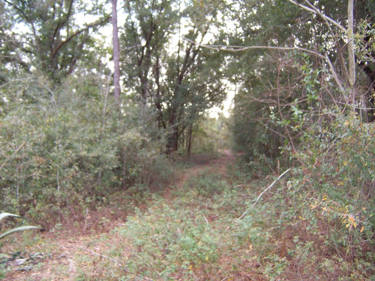 LAKE JUNIPER ESTATES UNIT III - Land