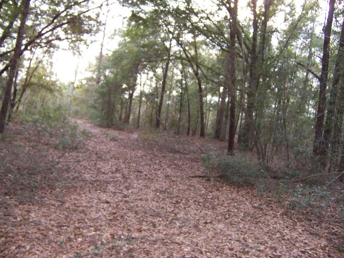 LAKE JUNIPER ESTATES UNIT III - Land