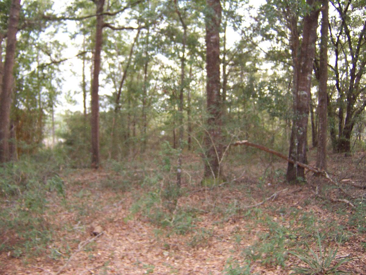 LAKE JUNIPER ESTATES UNIT III - Land