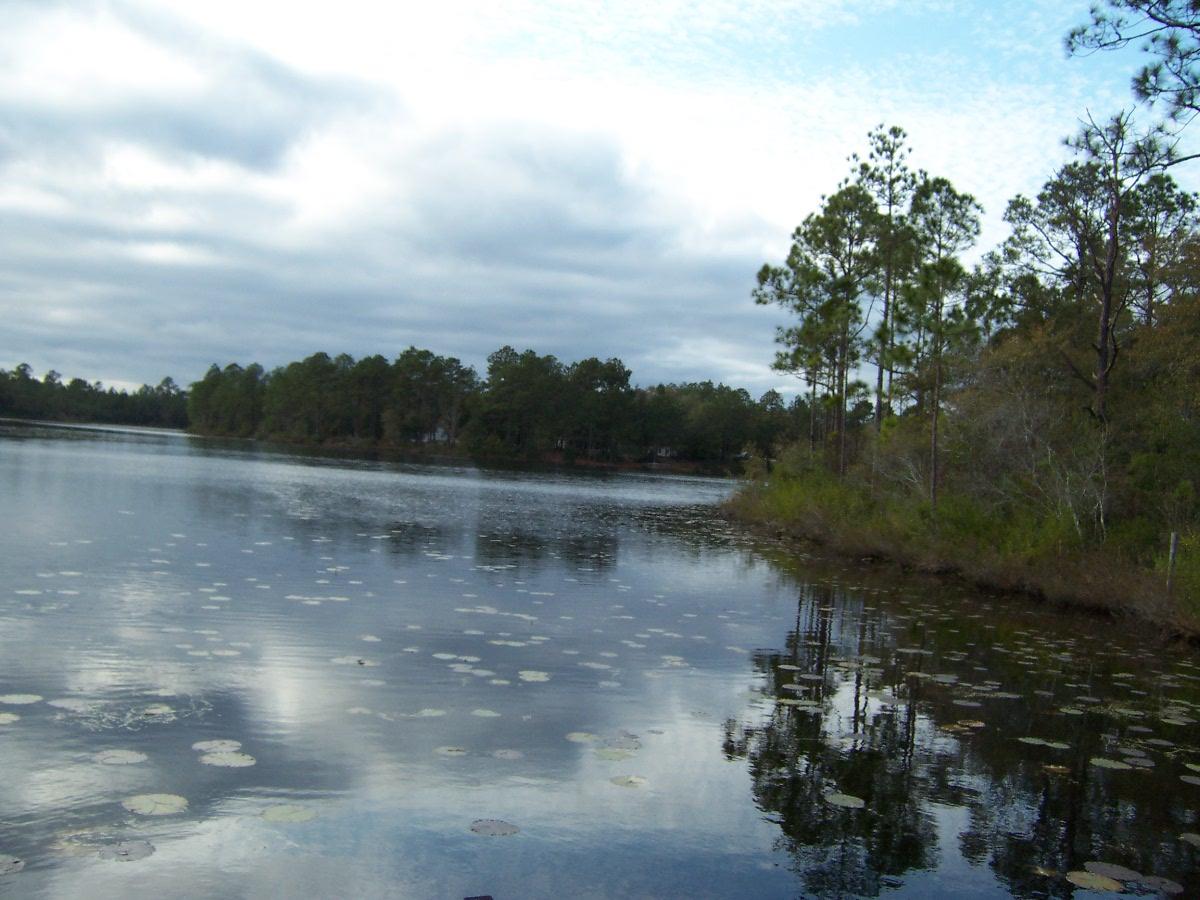 LAKE JUNIPER ESTATES UNIT III - Land